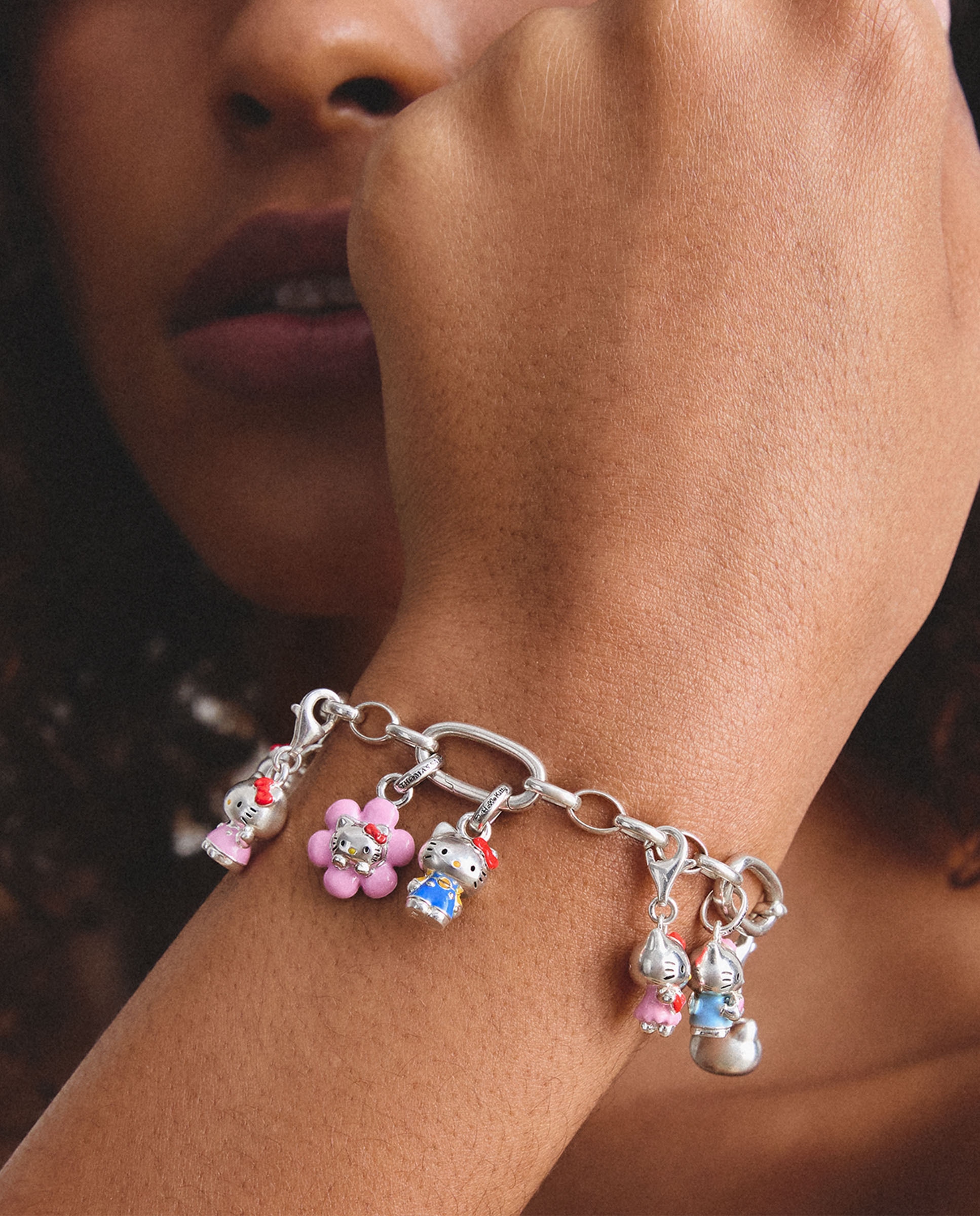 Pulsera para charms - Thomas Sabo - Plata Plata-3