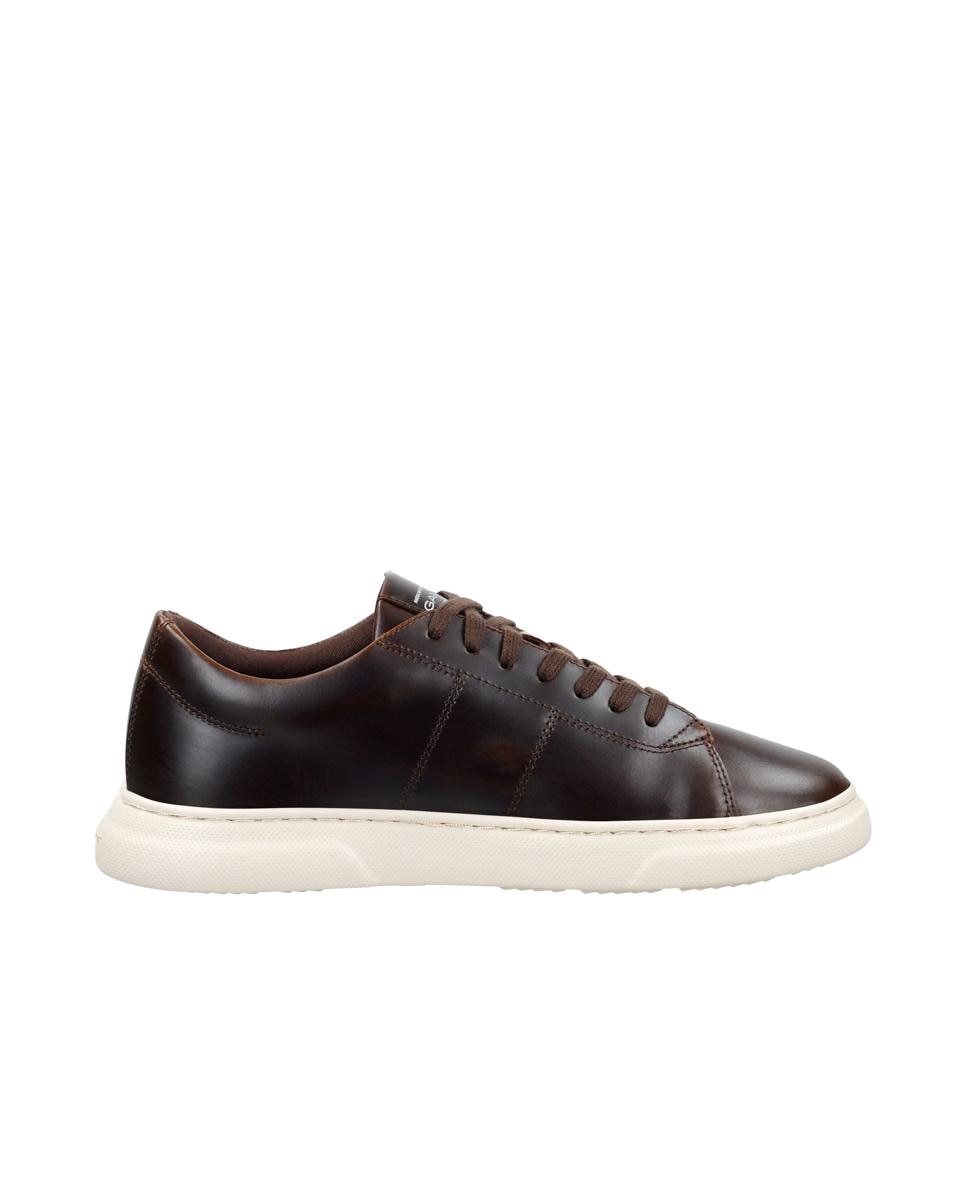 Imagen 0 de Zapatillas deportivas de hombre casual en cuero Marrón