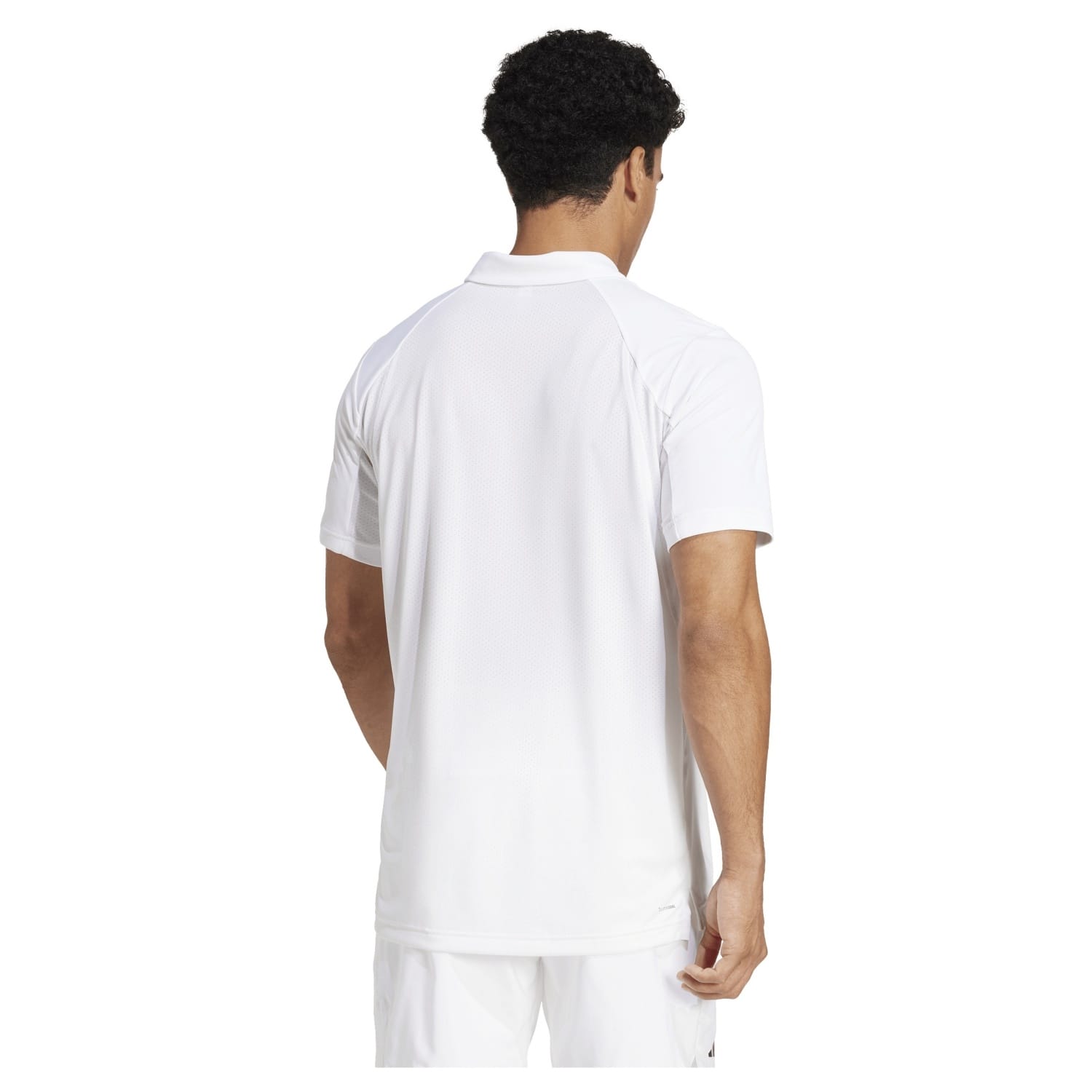 Polo de tenis y pádel de hombre CLUB adidas - Blanco Blanco-3