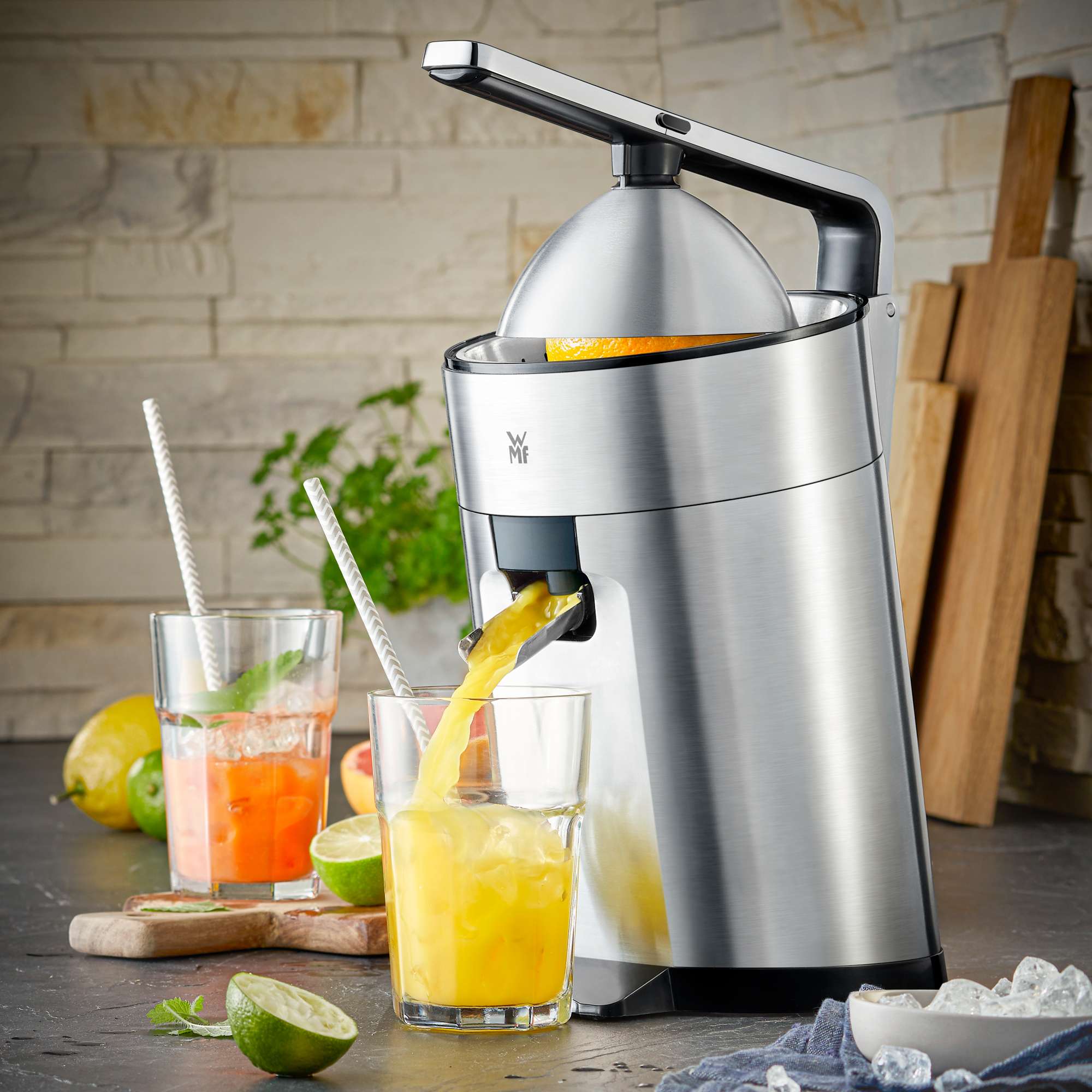 Exprimidor WMF Profi Plus hecho en acero inoxidable - Plata Plata-4