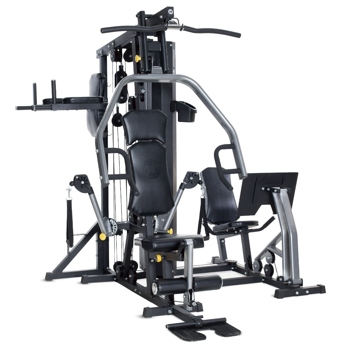Imagen 0 de Multiestación de entrenamiento Torus 5 Horizon Fitness + montaje gratuito Negro