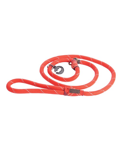 Imagen 0 de Correa Barbour Dog Reflective Slip Lead
