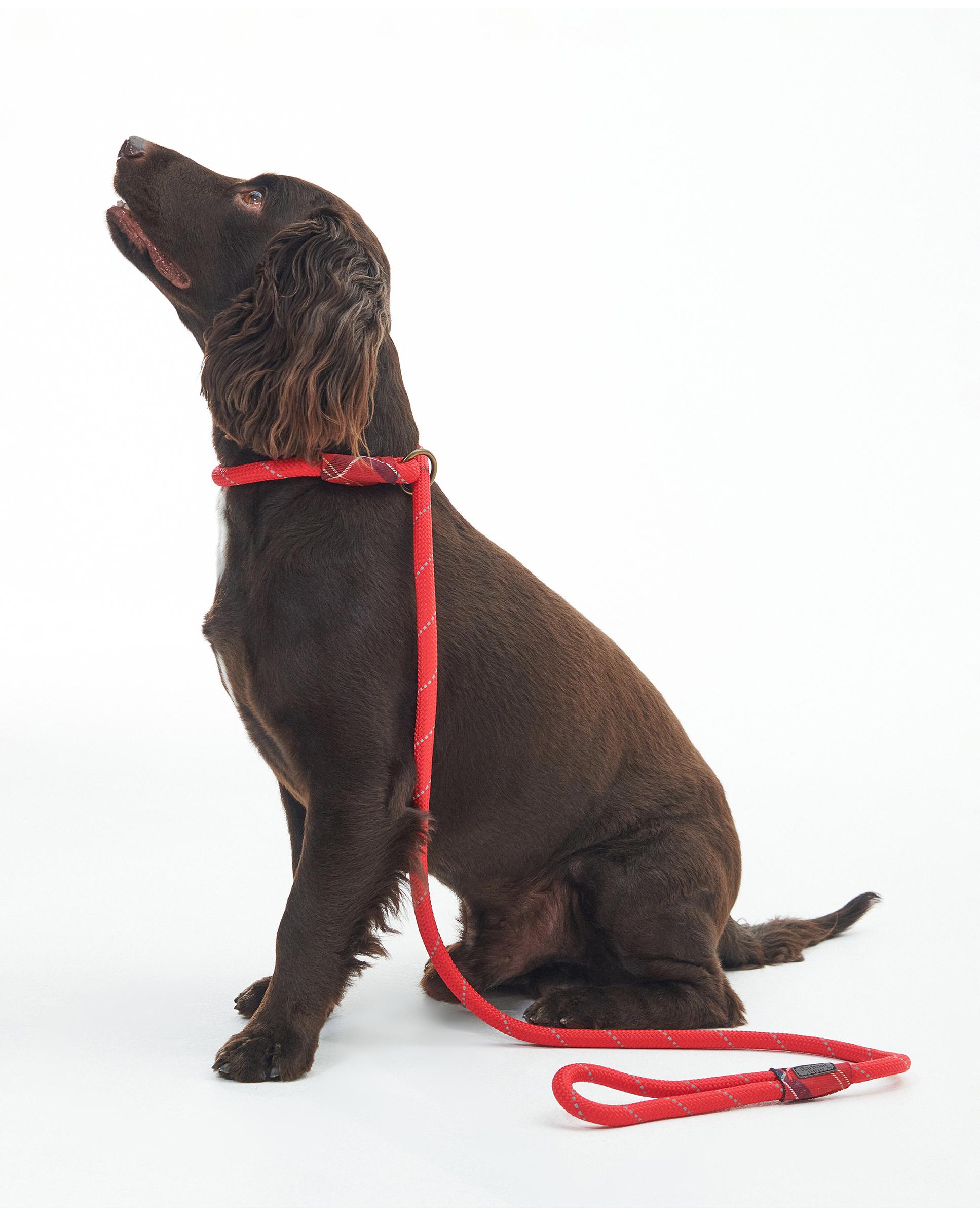 Correa Barbour Dog Reflective Slip Lead Rojo-2