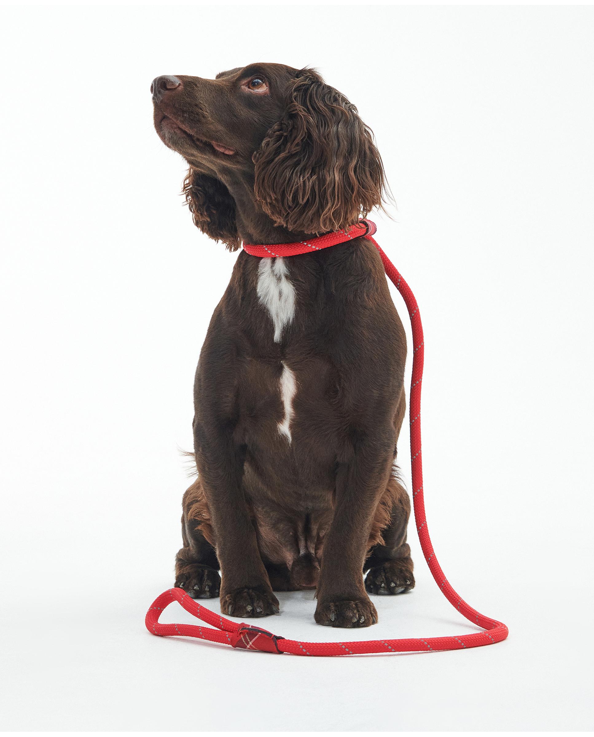 Correa Barbour Dog Reflective Slip Lead Rojo-4