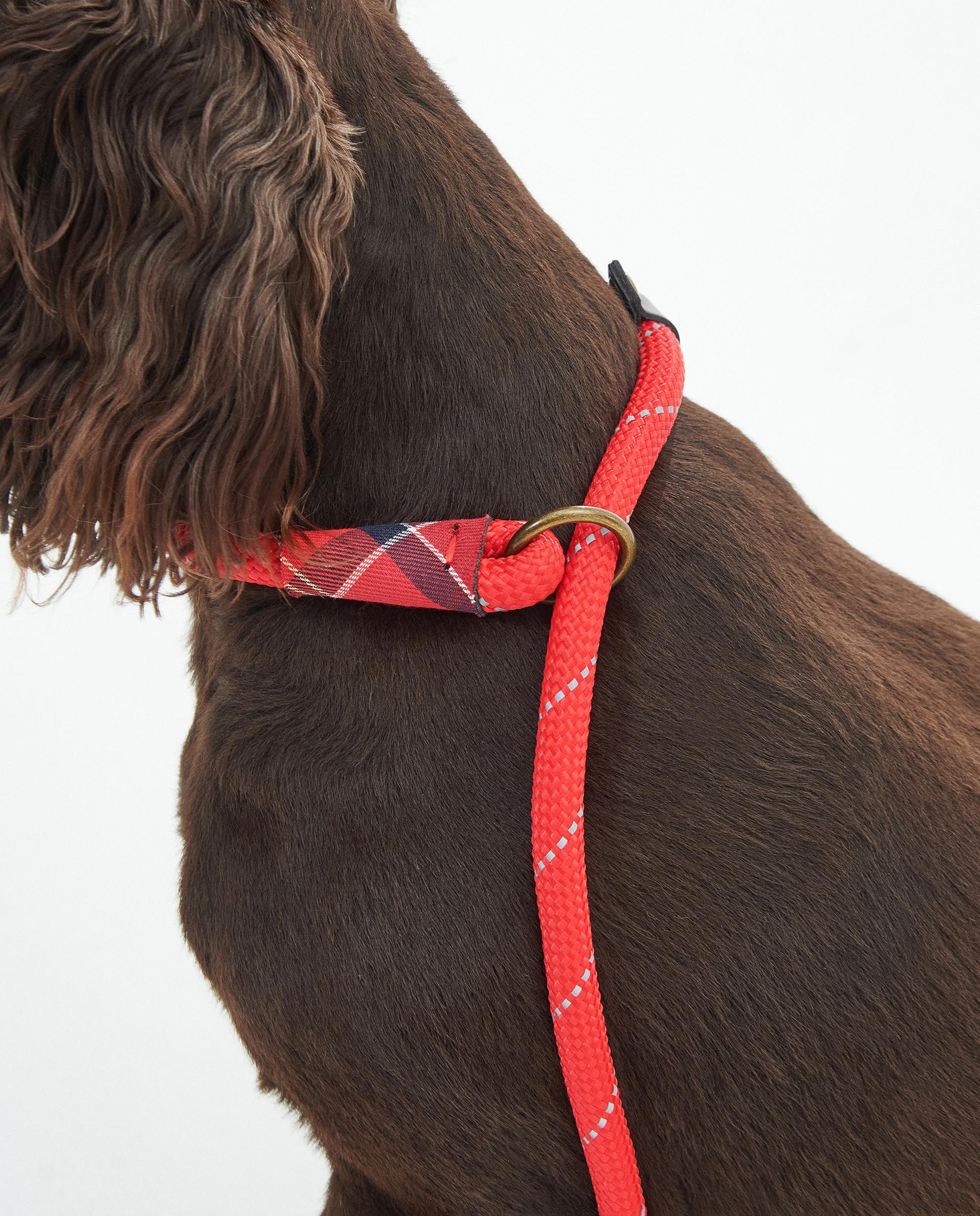 Correa Barbour Dog Reflective Slip Lead Rojo-5