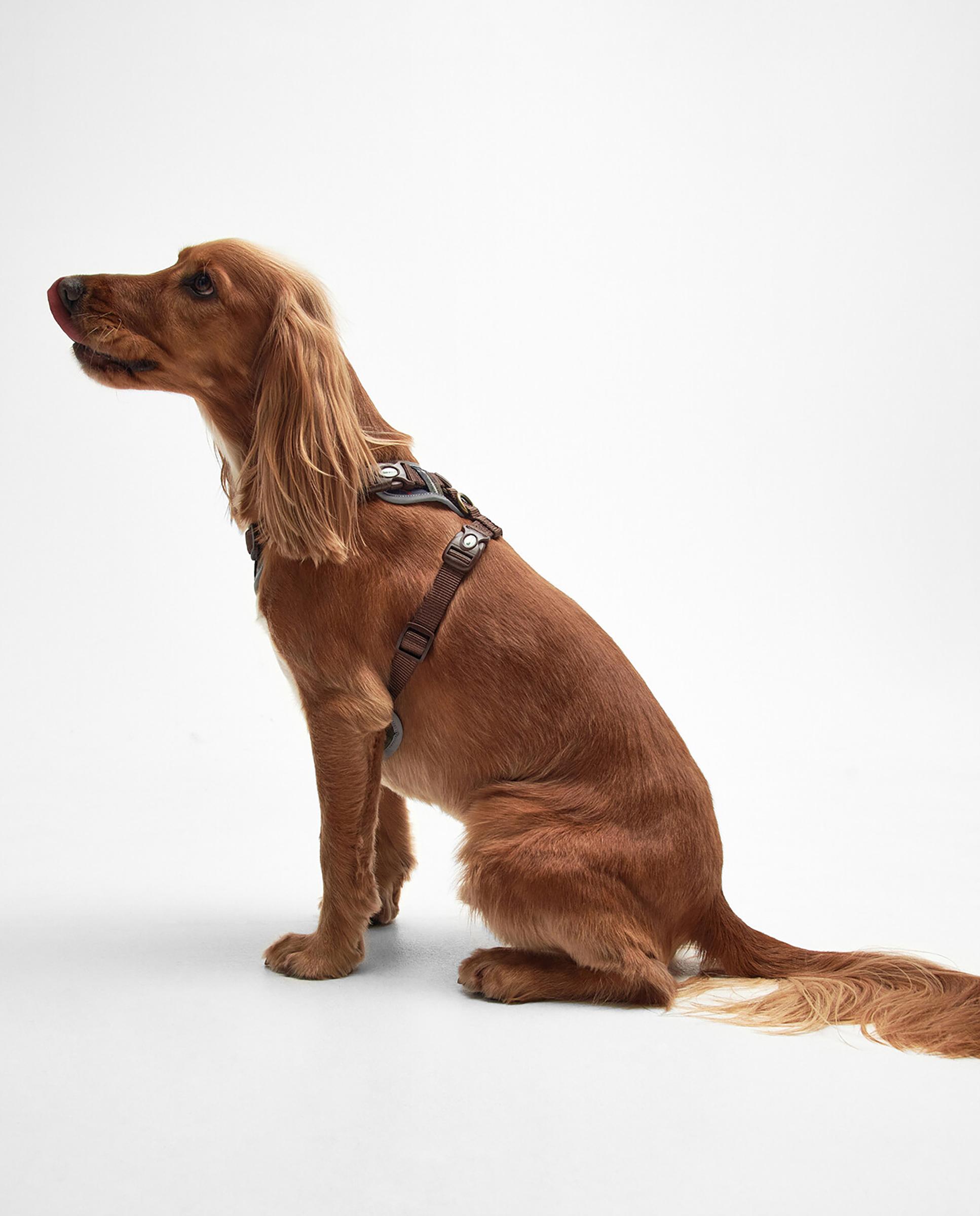 Arnés para perro Barbour Fully Adjustable Harness Multicolor-2