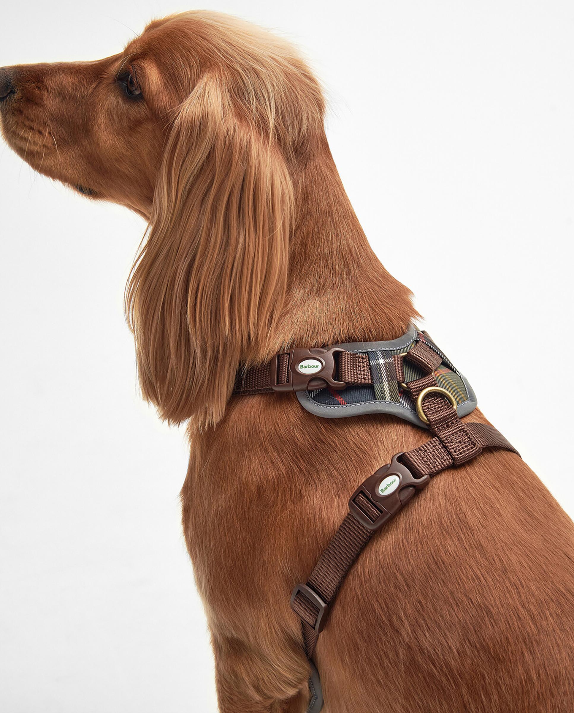 Arnés para perro Barbour Fully Adjustable Harness Multicolor-4