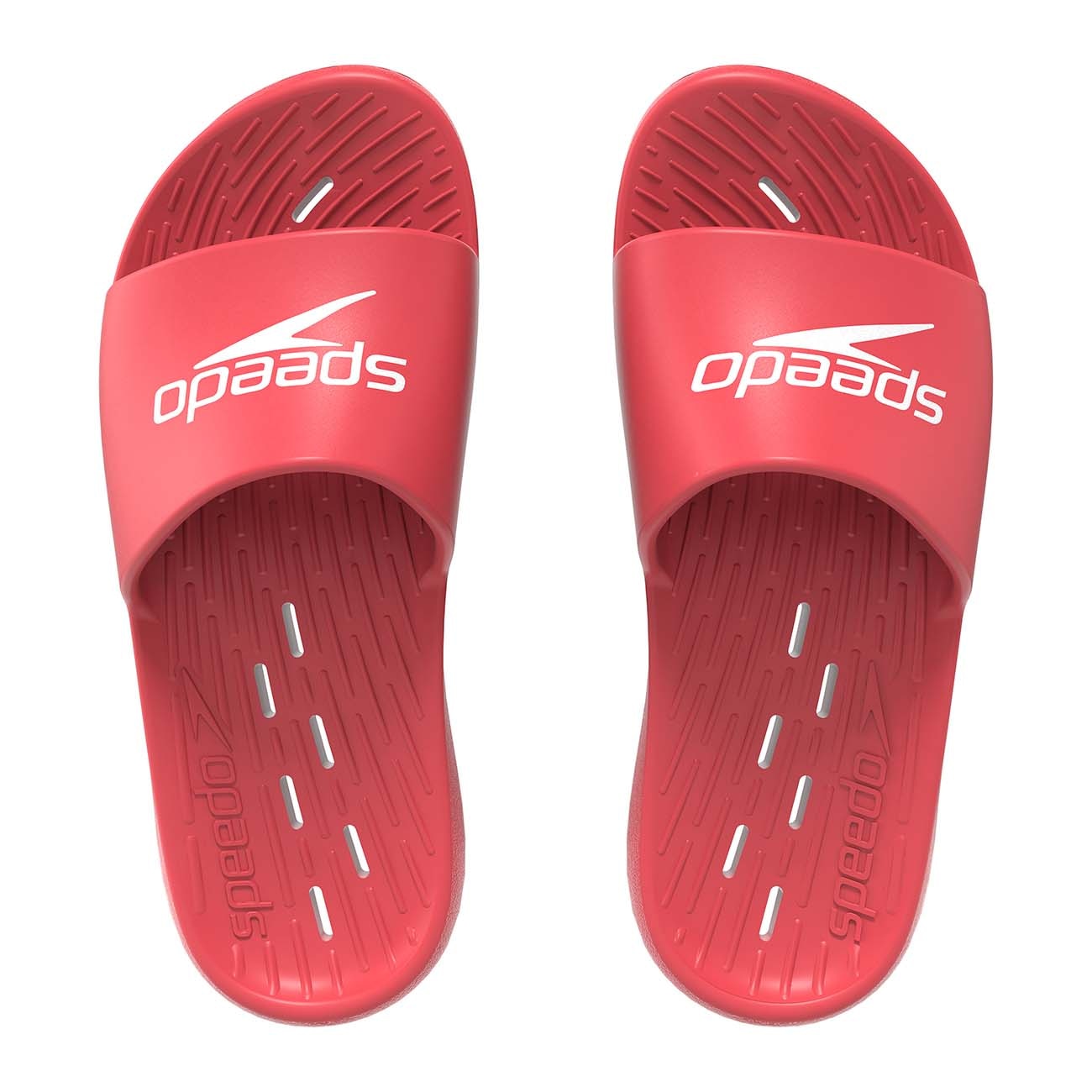 Chanclas de hombre Slide Speedo - Rojo Rojo-1