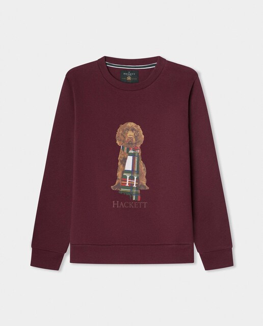 Imagen 0 de Sudadera de niño cuello redondo harry
