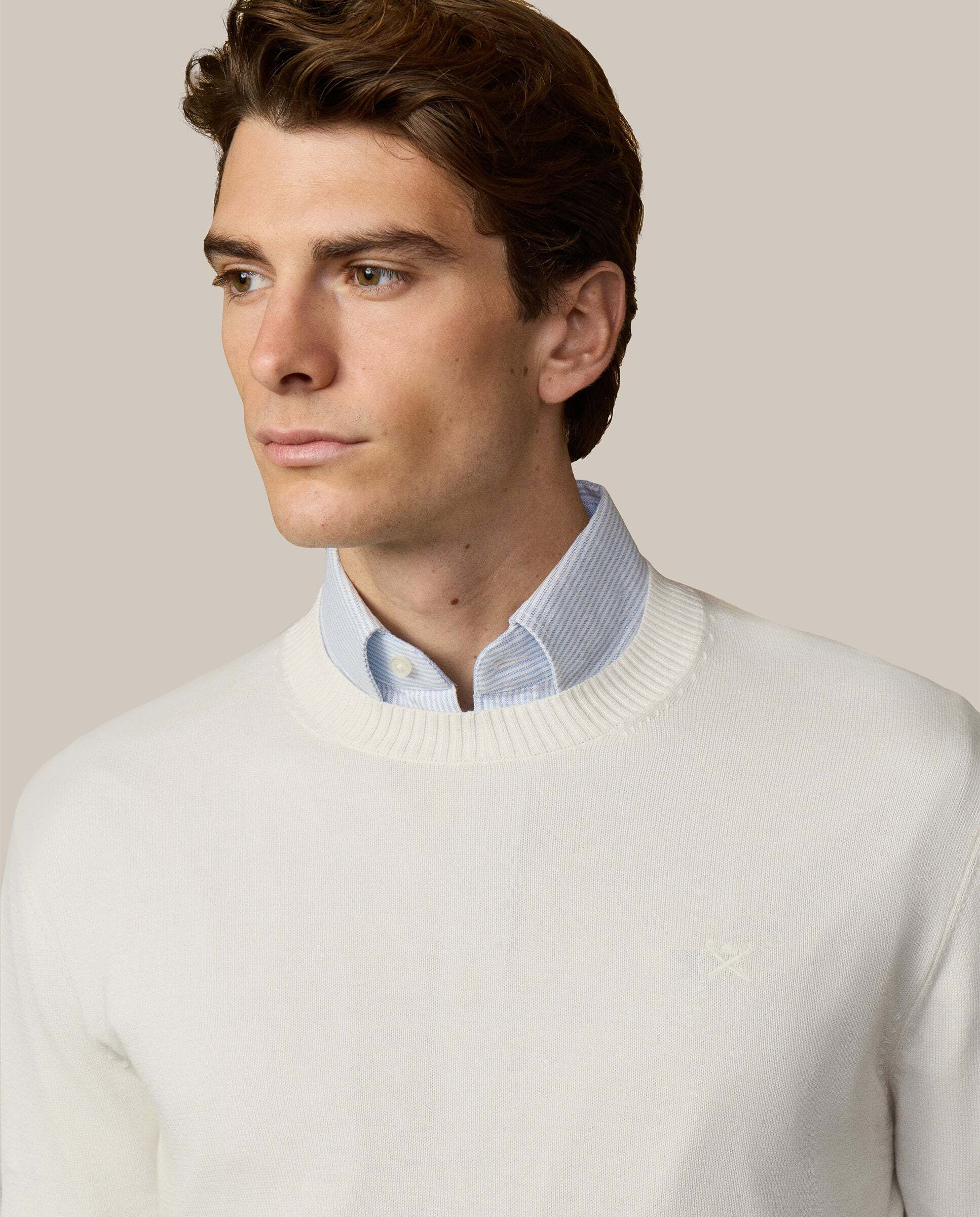 Jersey de hombre con cuello redondo algodón - Hackett - Crema Crema-4