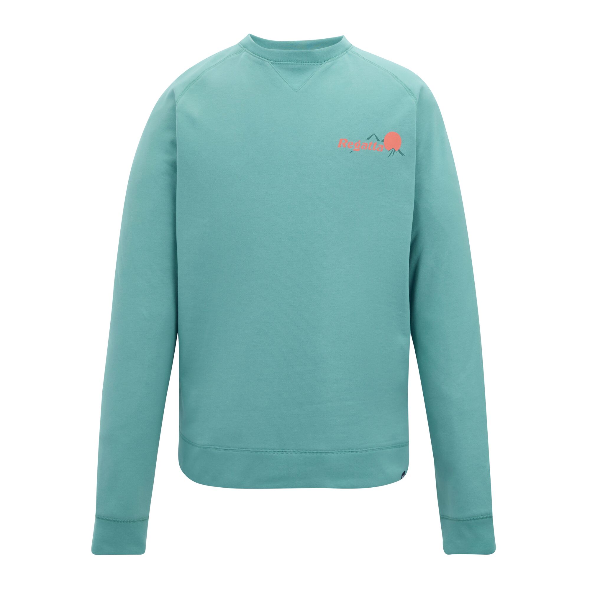 Sudadera de hombre Nithsdale Regatta - Azul Turquesa Azul Turquesa-1