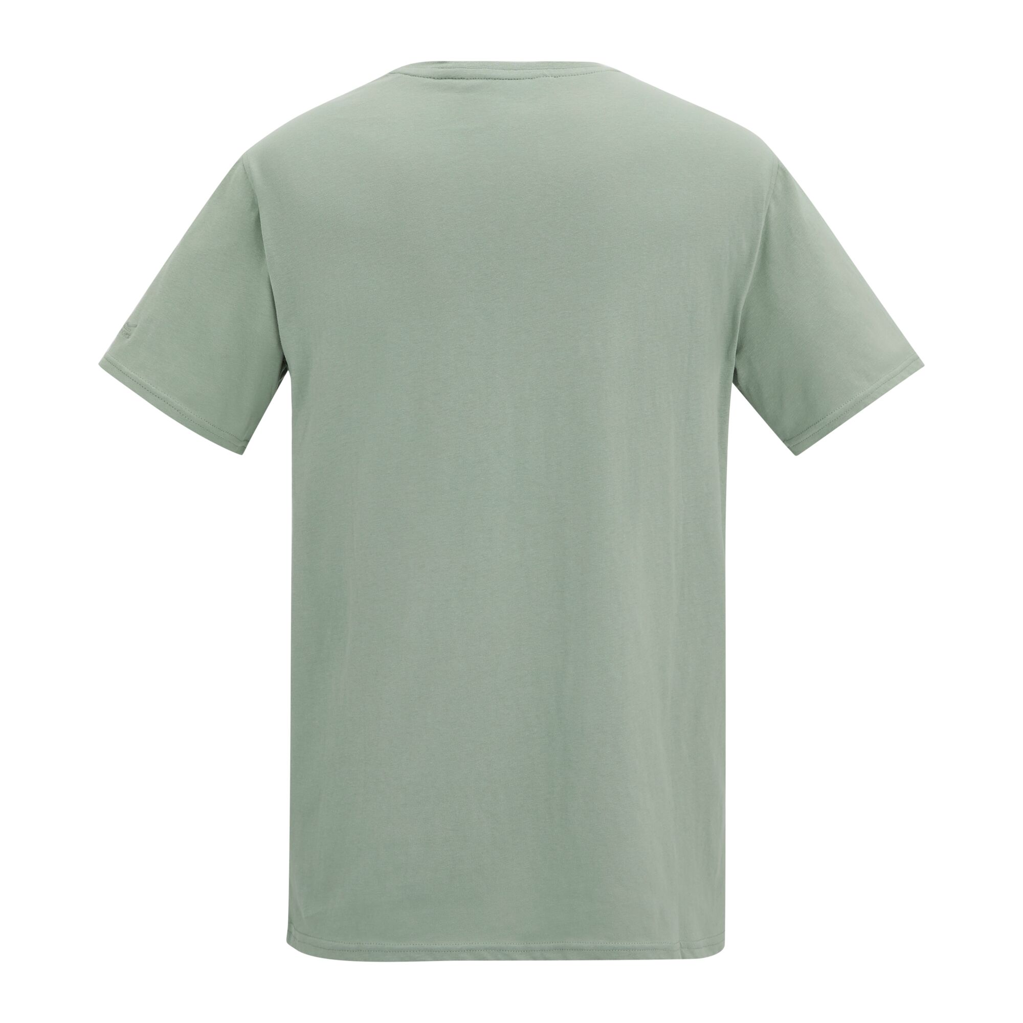 Camiseta de hombre Cline IX Regatta - Verde grisáceo Verde grisáceo-2