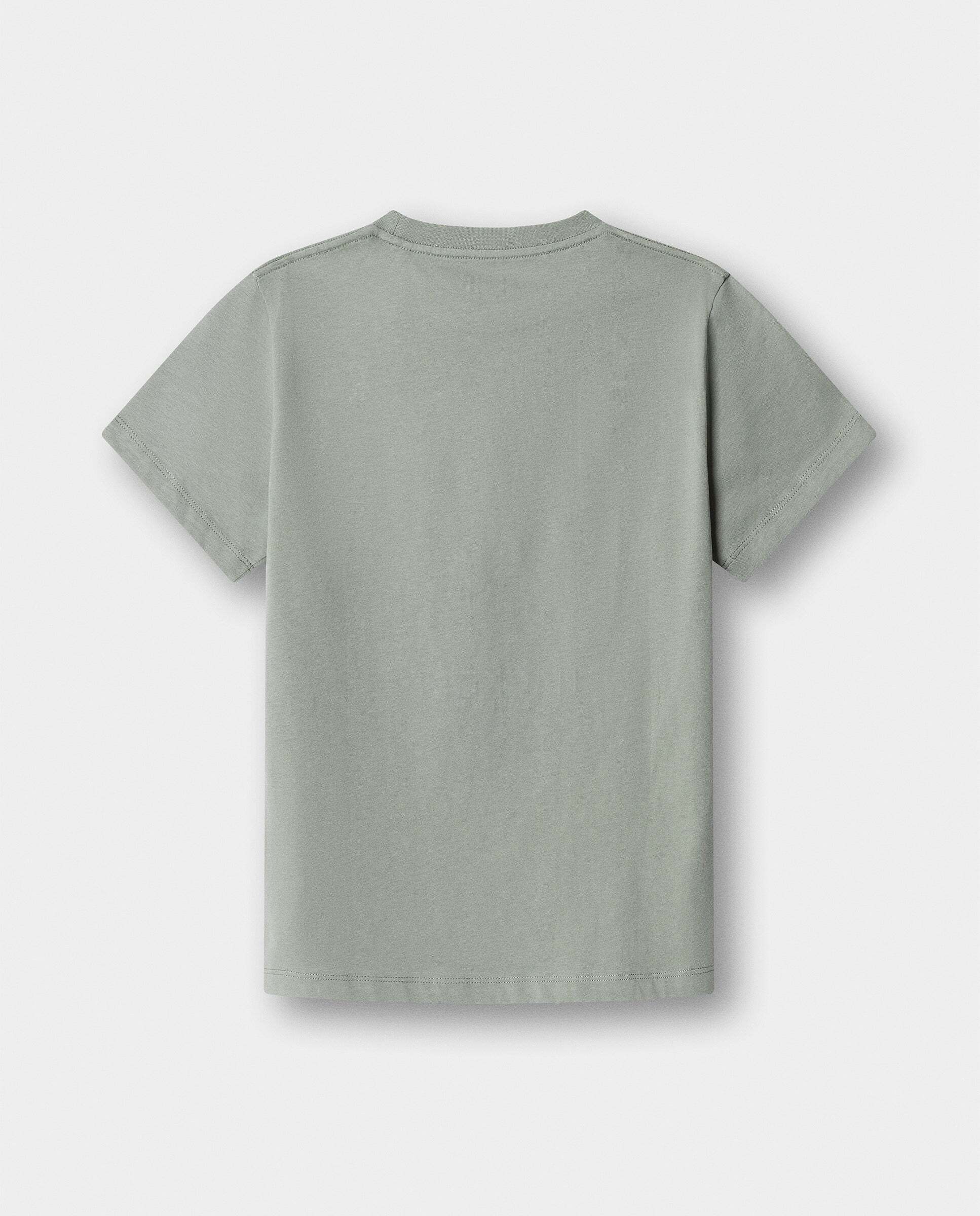 Camiseta Tiger Logo de niño - Hackett - Verde claro Verde claro-3