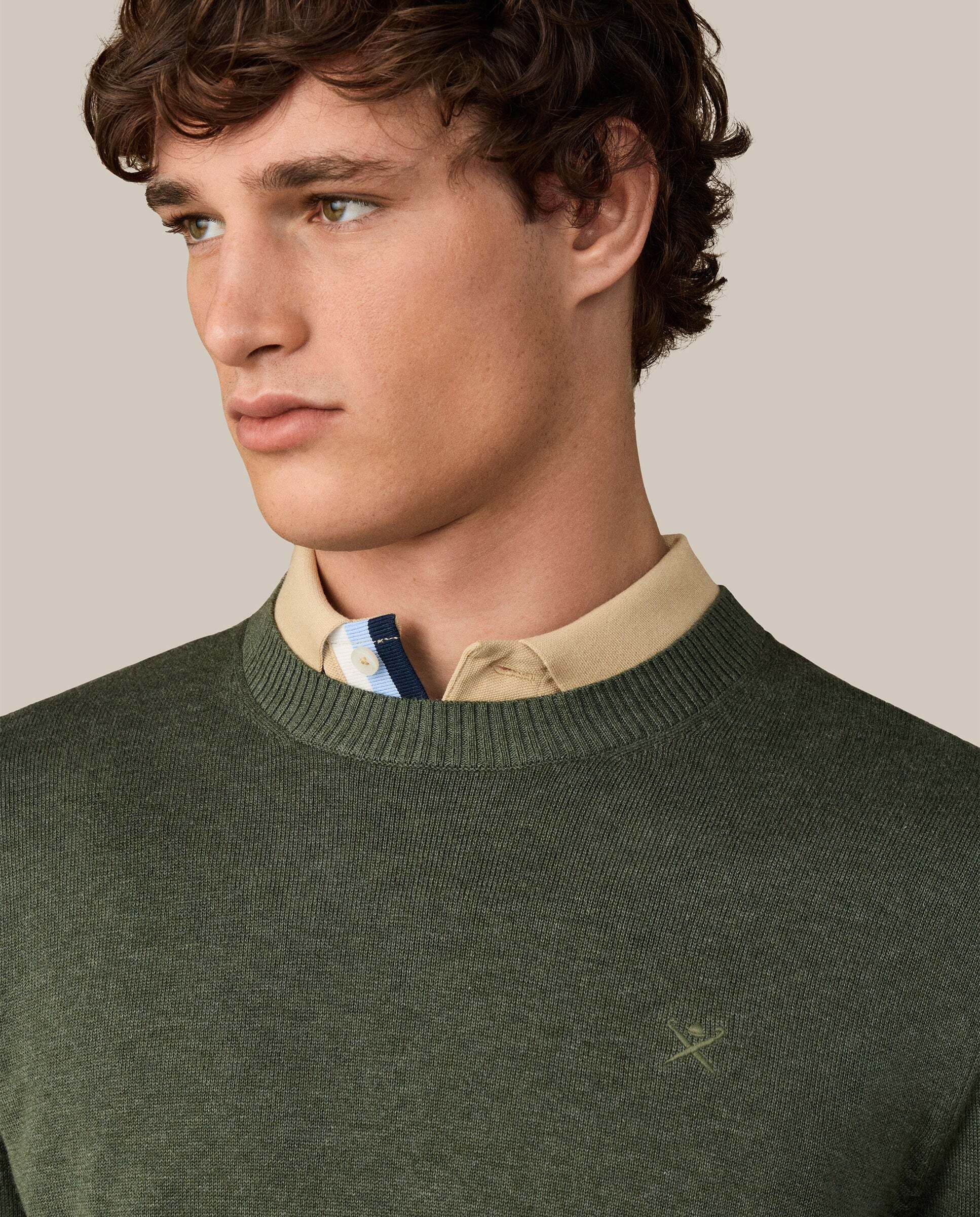 Jersey de hombre con cuello redondo algodón - Hackett - Verde Verde-4