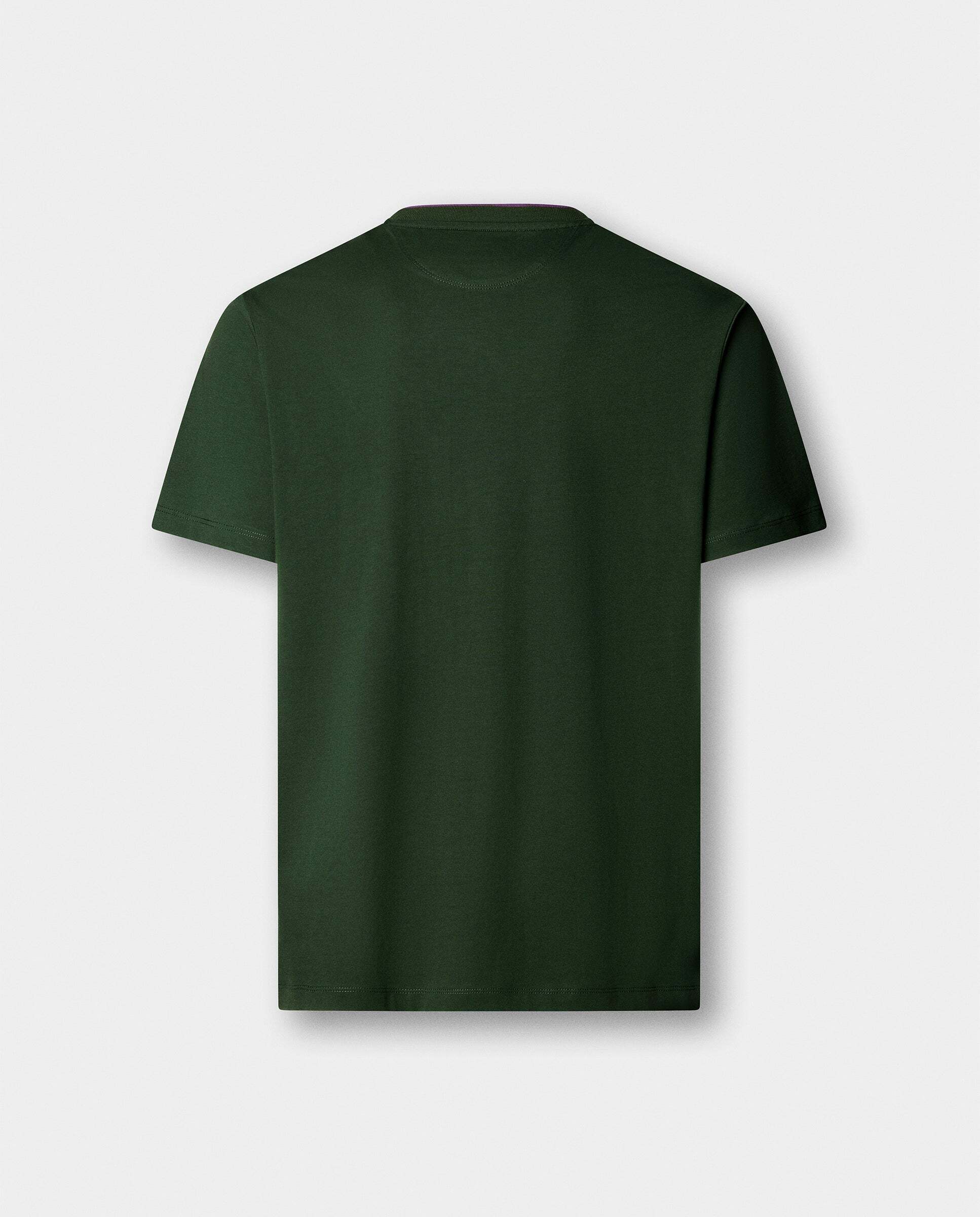 Camiseta de hombre logo h fit clásico - Hackett - Verde Verde-6