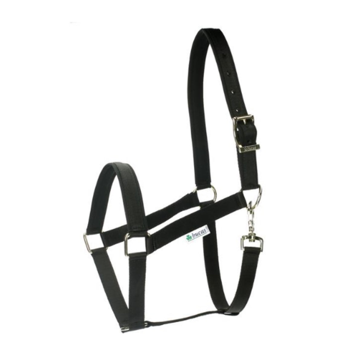 Cabezada de cuadra Halter Dublin Bucas