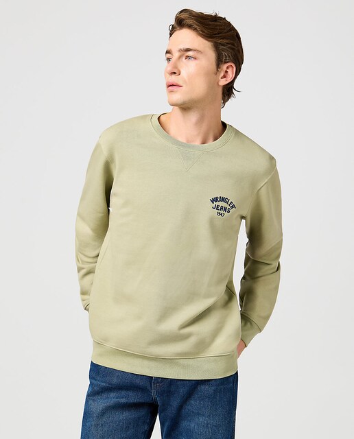 Imagen 0 de Sudadera de hombre de corte regular en vierde claro