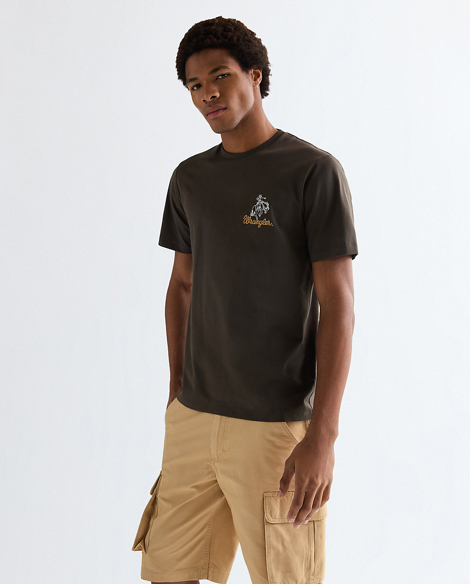 Imagen 0 de Camiseta de hombre de manga corta con logo sul pecho Marrón