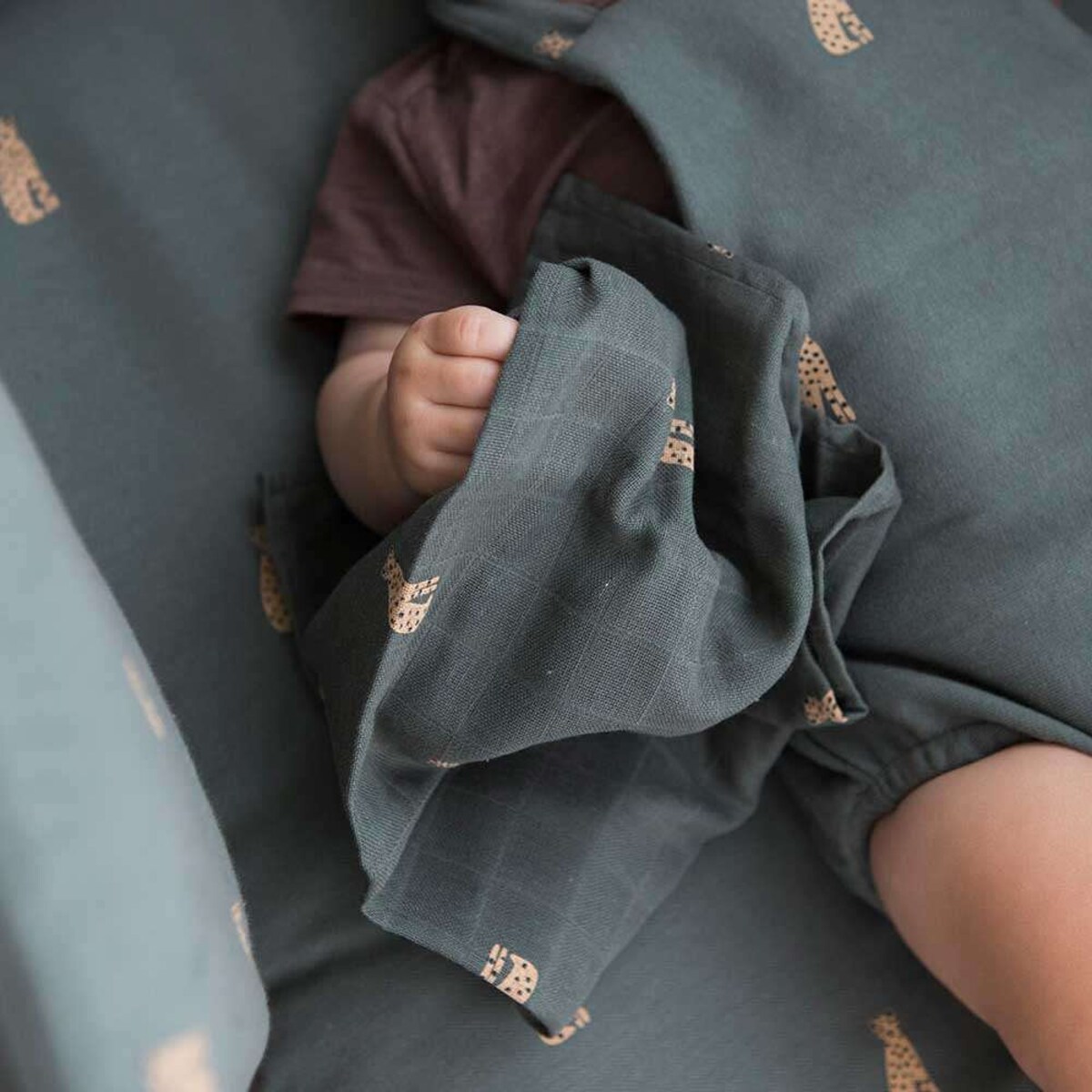 Pack 2 muselinas 50x50cm Gloop Savana Verde-2