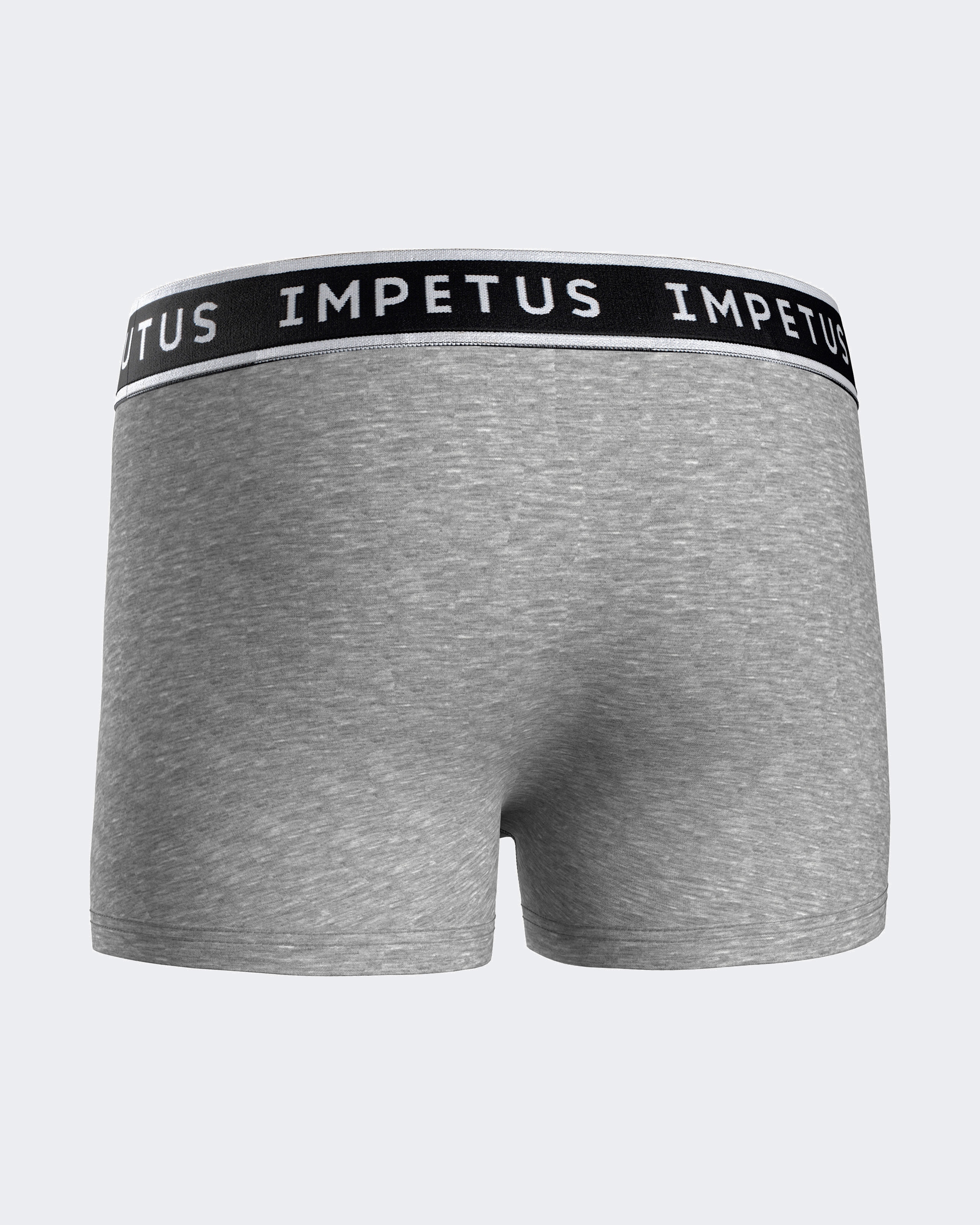 Pack de dos bóxers de niño lisos con goma vista en la cintura - Impetus - Gris Gris-3