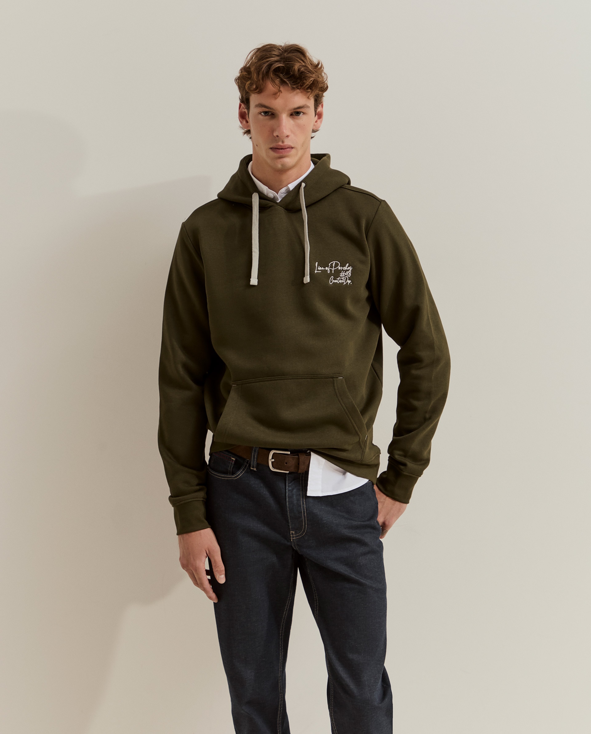 Sudadera de hombre con capucha en - Lion of Porches - Verde Verde-4