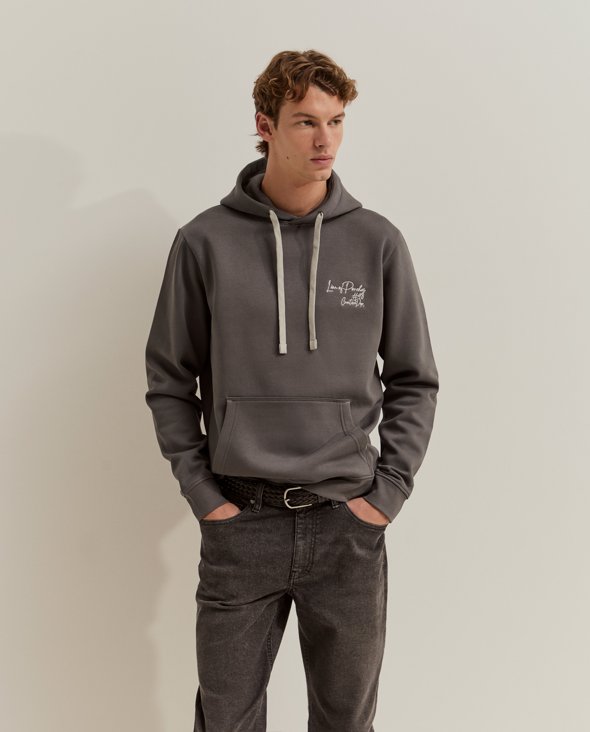 Sudadera de hombre con capucha en gris - Lion of Porches - Gris oscuro Gris oscuro-2