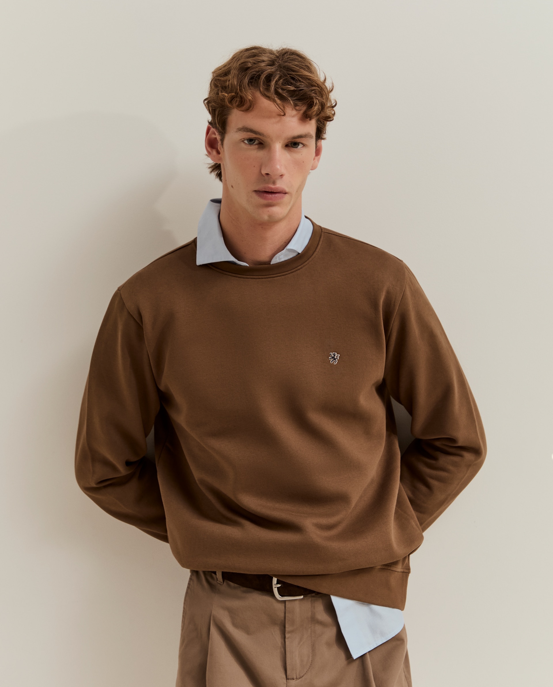 Sudadera de hombre básica en - Lion of Porches - Marrón Marrón-2