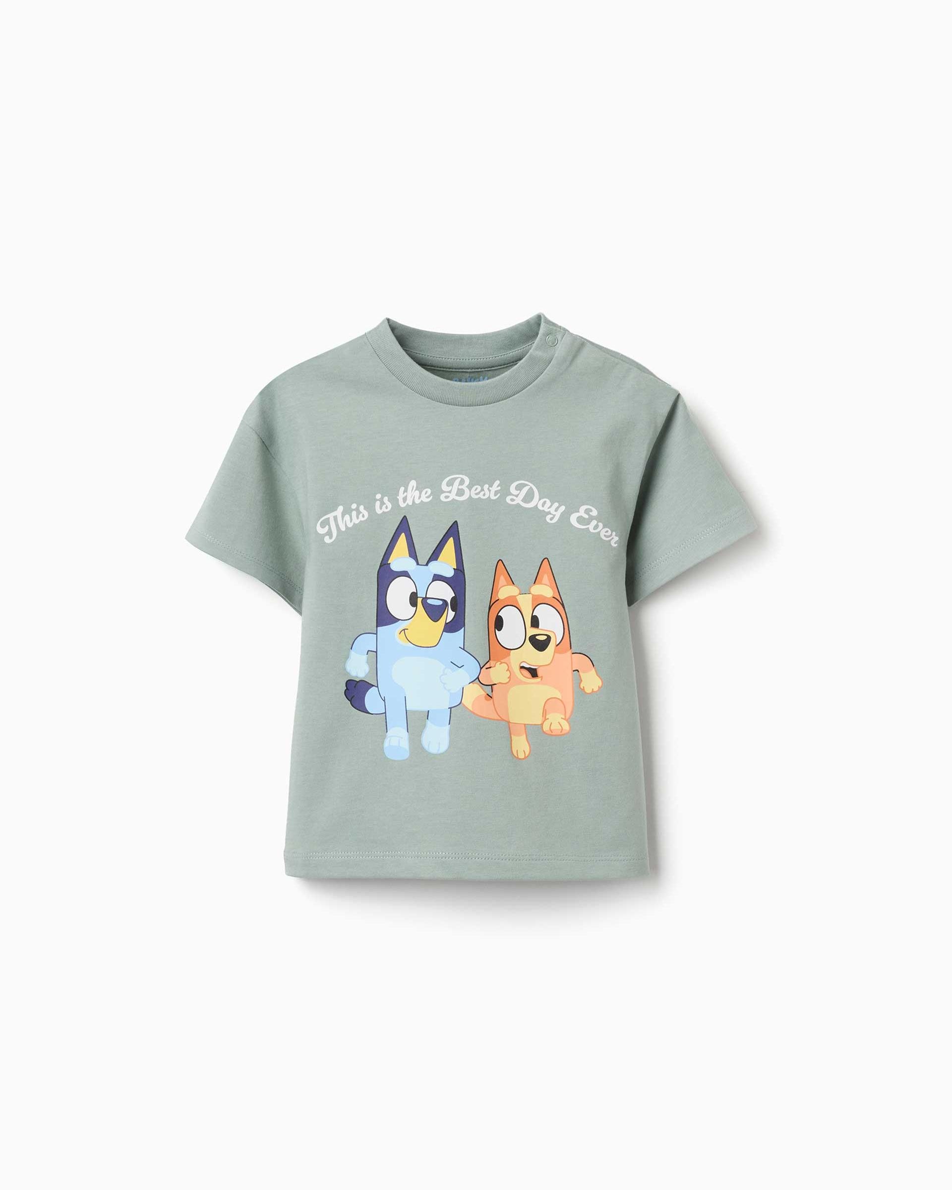 Imagen 1 de Camiseta de niño 100% algodón y con estampado bluey - Zippy - Verde Verde