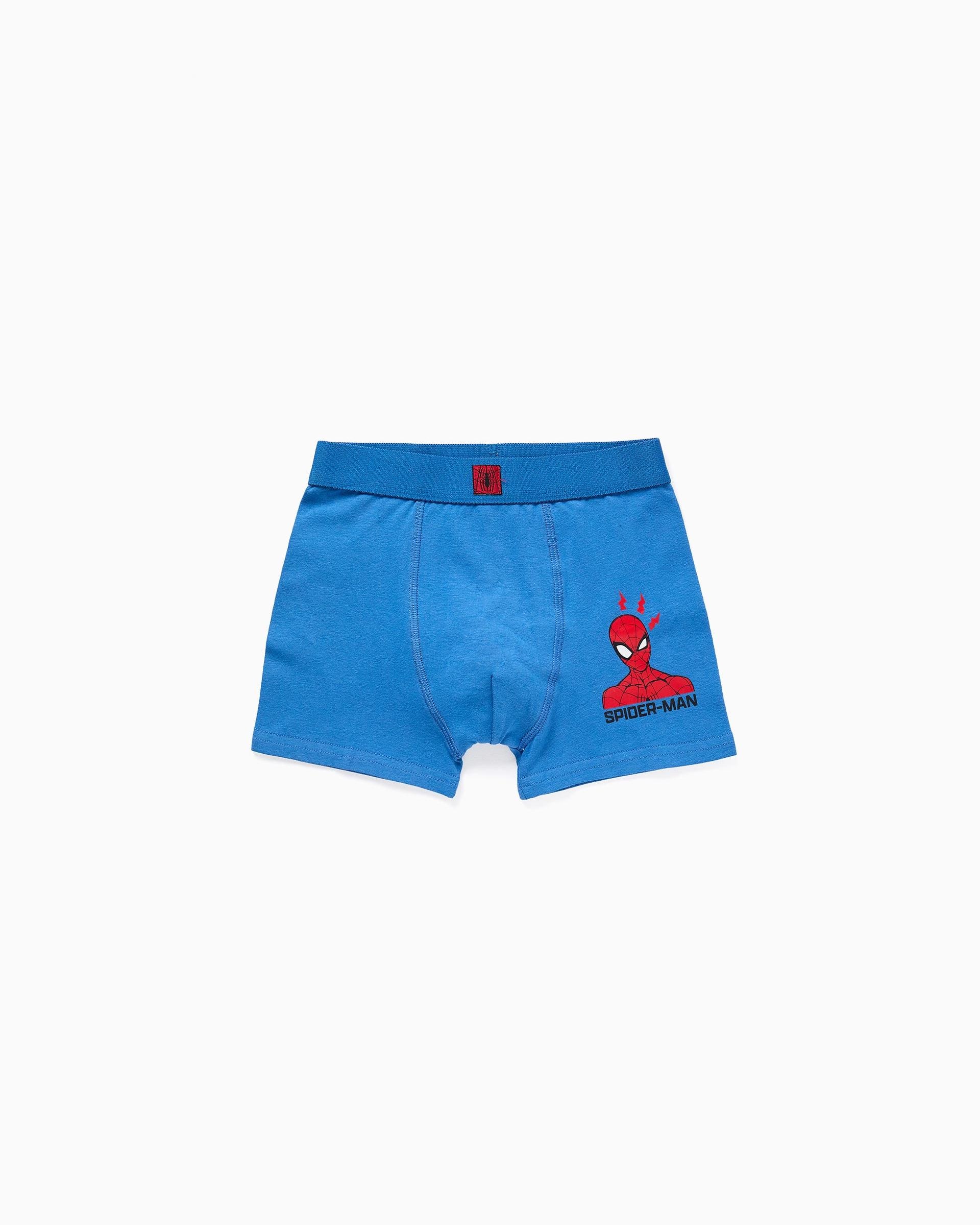 Imagen 3 de Pack de 4 calzoncillos bóxers de niño de algodón y con estampado spider man - Zippy - Multicolor Multicolor