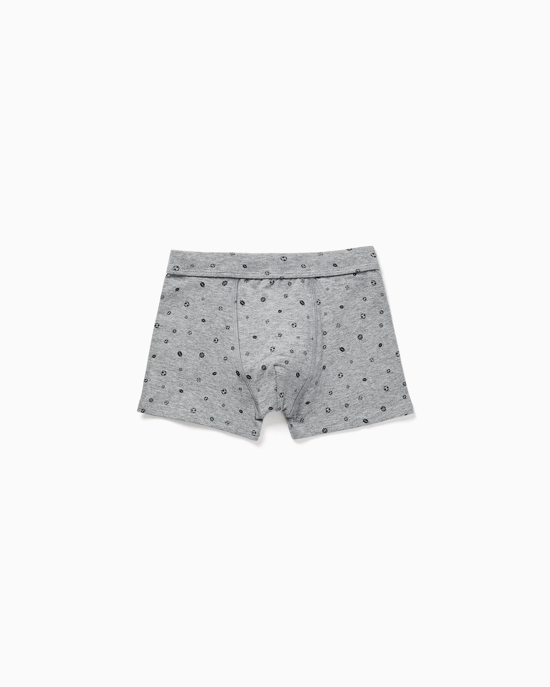 Imagen 3 de Pack de 4 calzoncillos bóxers de niño de algodón y con estampados - Zippy - Multicolor Multicolor