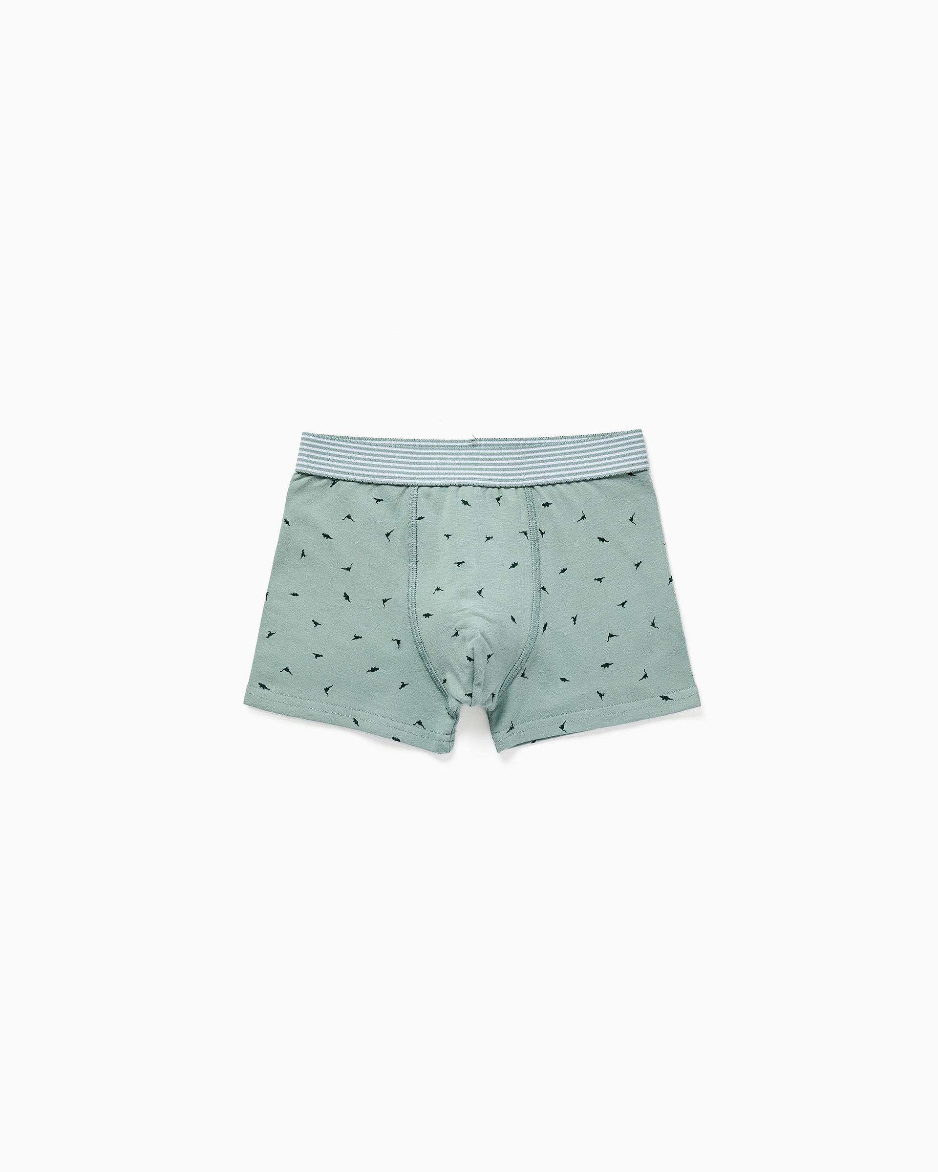 Imagen 3 de Pack de 4 calzoncillos bóxers de niño de algodón y com estampados de dinosaurios - Zippy - Multicolor Multicolor