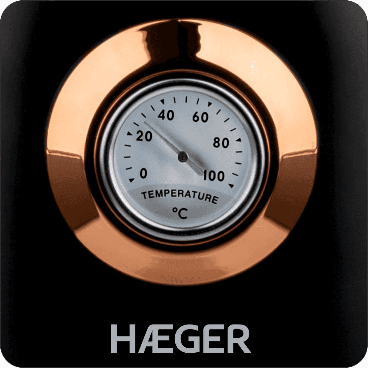 Hervidor Eléctrico Haeger Art deco Black 2200W con medidor de temperatura - Negro Negro-3