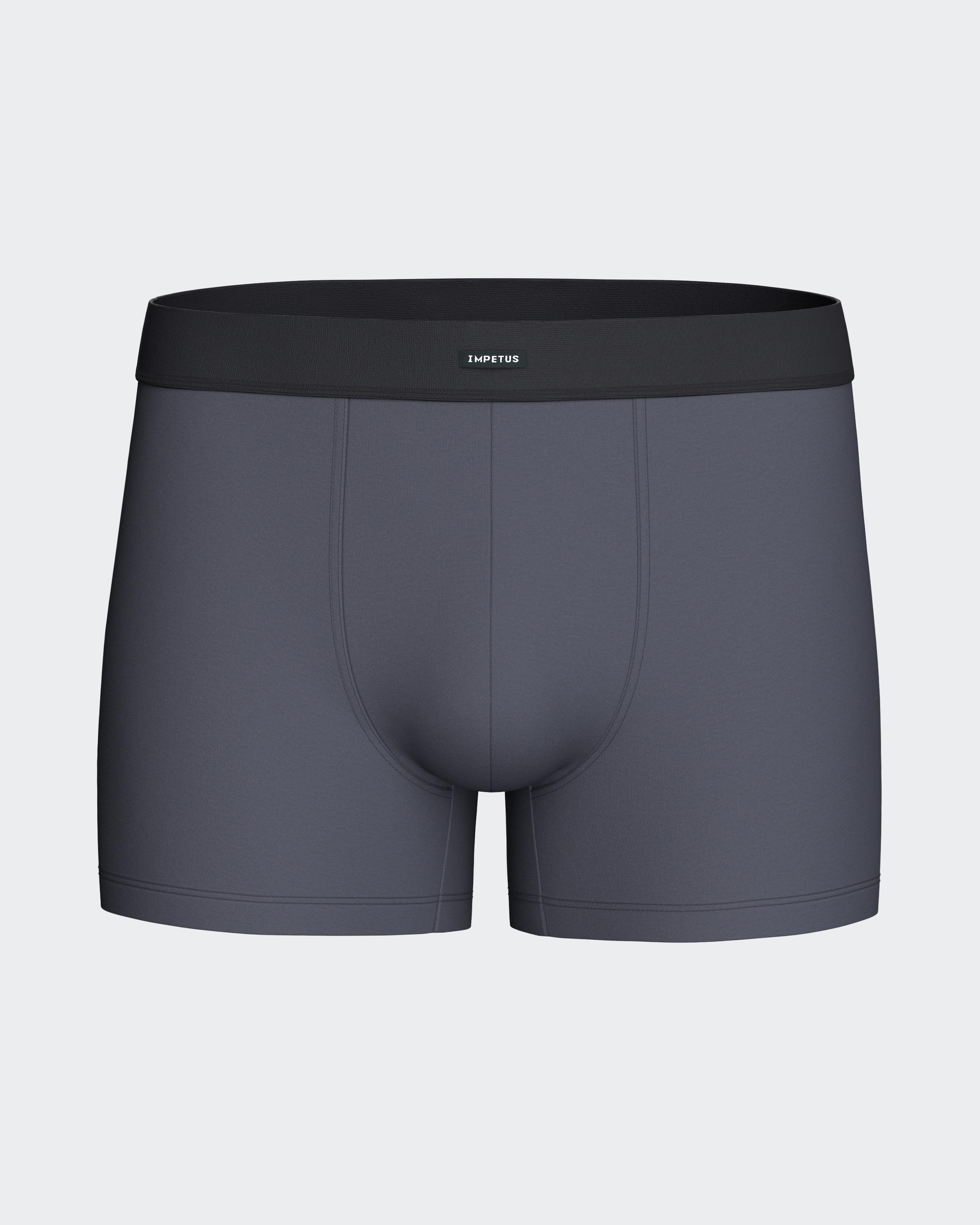 Pack de 2 boxers de hombre en algodón modal - Impetus - Gris Gris-5