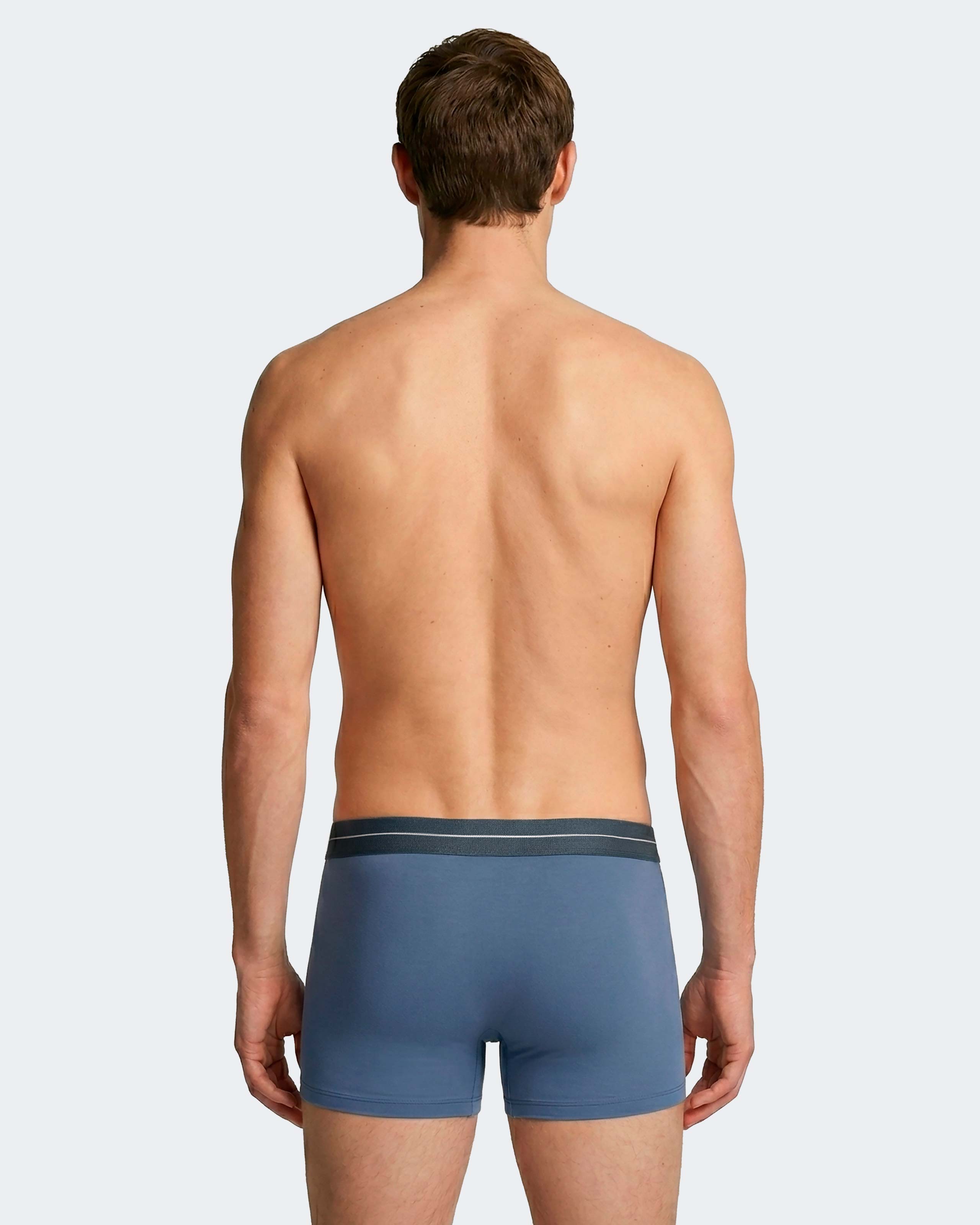 Imagen 3 de Pack 2 boxers de hombre en algodón - Impetus - Azul royal Azul royal