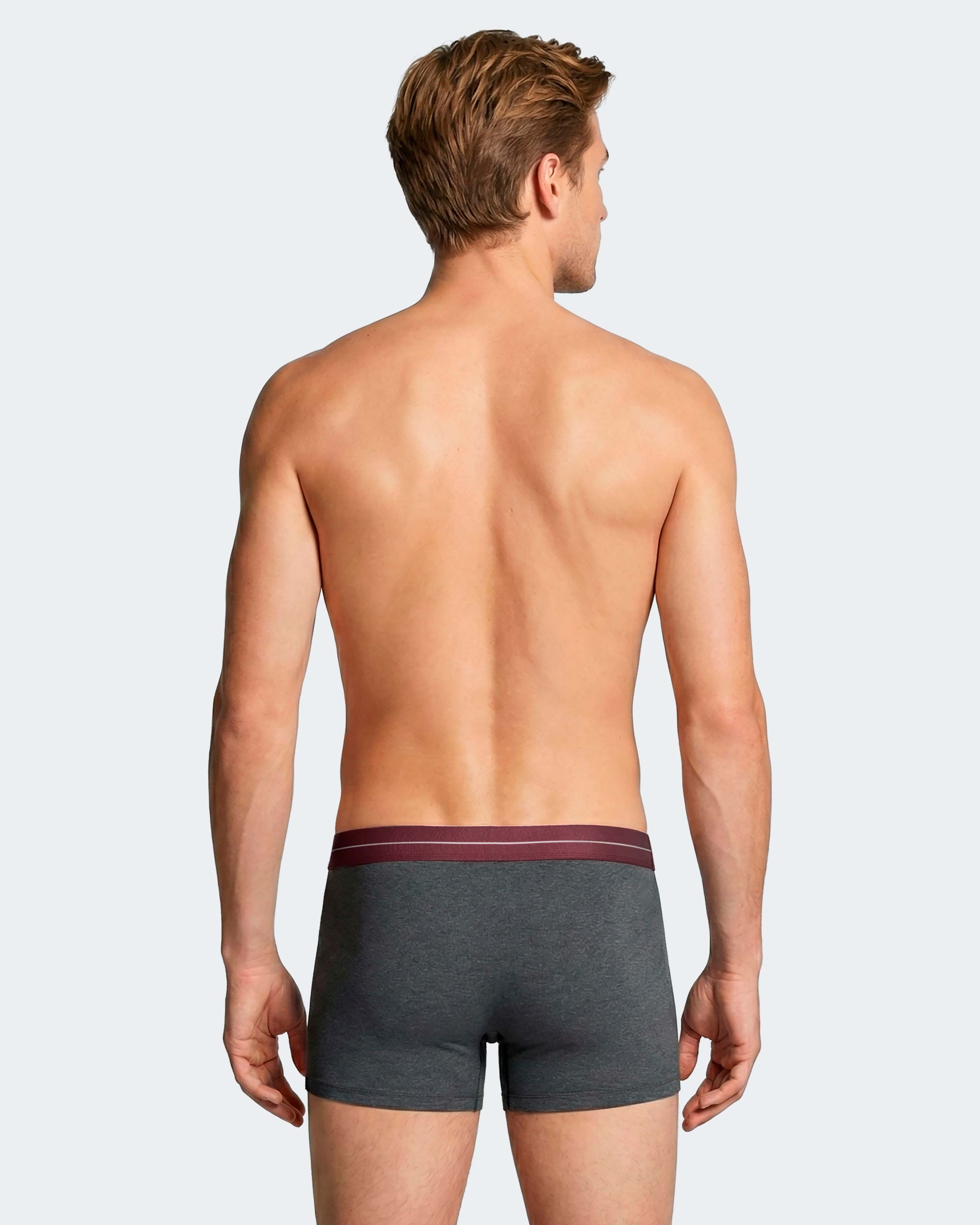 Imagen 3 de Pack 2 boxers de hombre en algodón - Impetus - Gris Gris