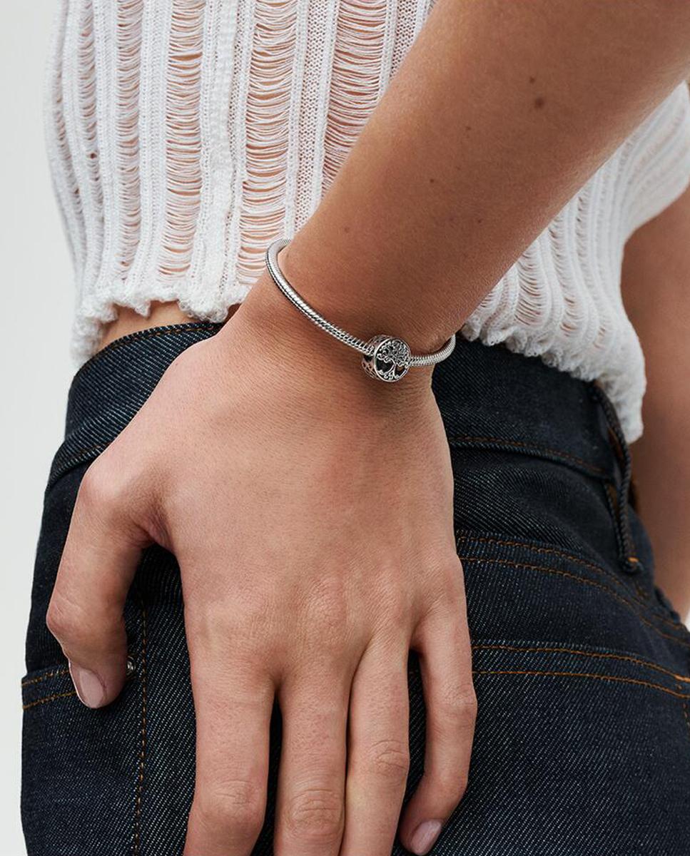 Charm en de ley raíces familiares - PANDORA - Plata Plata-3