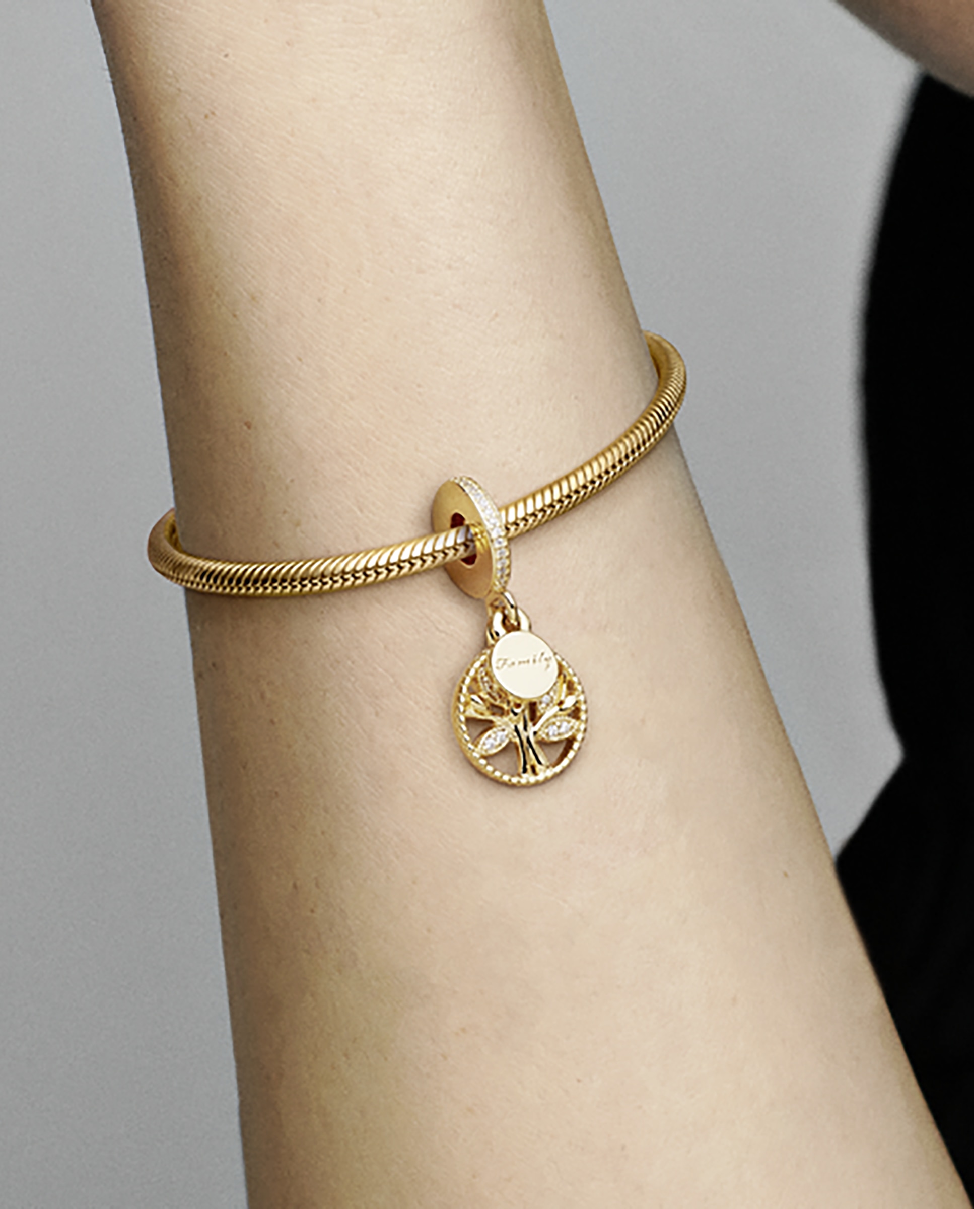 Charm colgante árbol genealógico brillante Blanco PANDORA Blanco-4