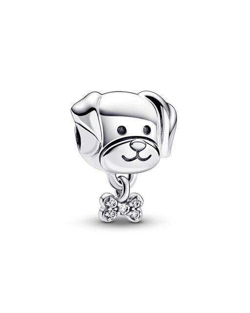 Imagen 0 de Charm Mascota Perro y Hueso