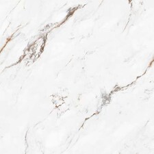 Blanco / Roble