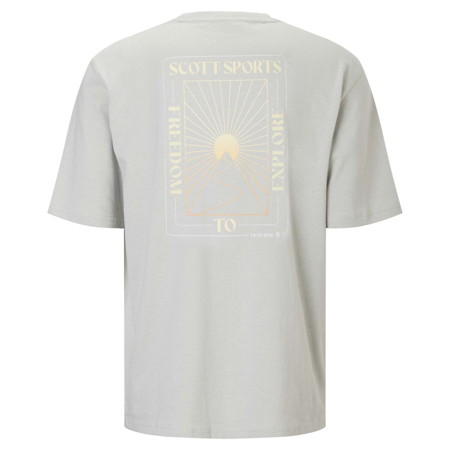 Camiseta de hombre GRAPHIC SS Scott - Gris claro Gris claro-2