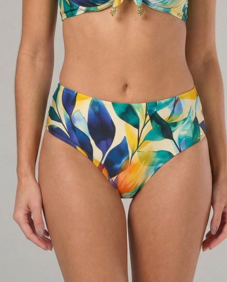 Imagen 0 de Braga de bikini culotte estampada Azul / Amarillo