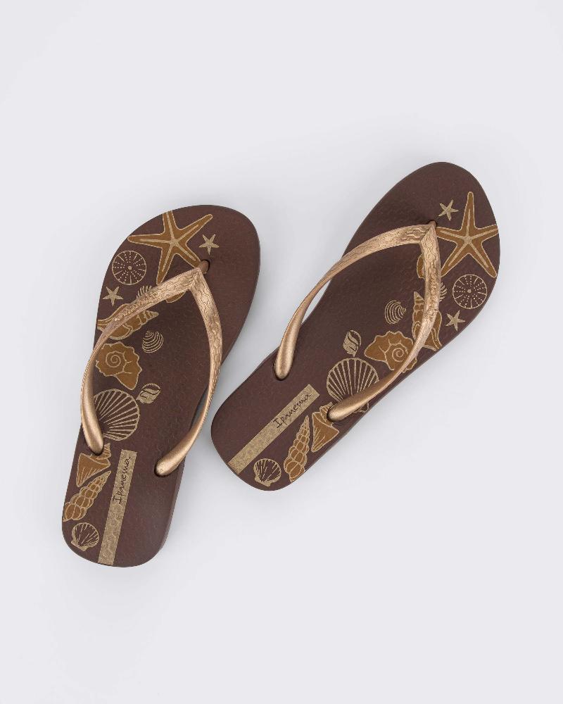 Chanclas ipanema en el best sale corte ingles