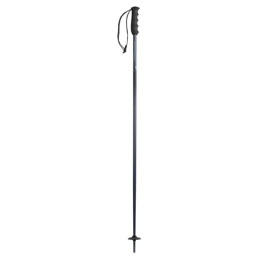 Imagen 0 de Bastones de esquí de mujer ALPINE TI 16 mm (pareja) Nordica Gris