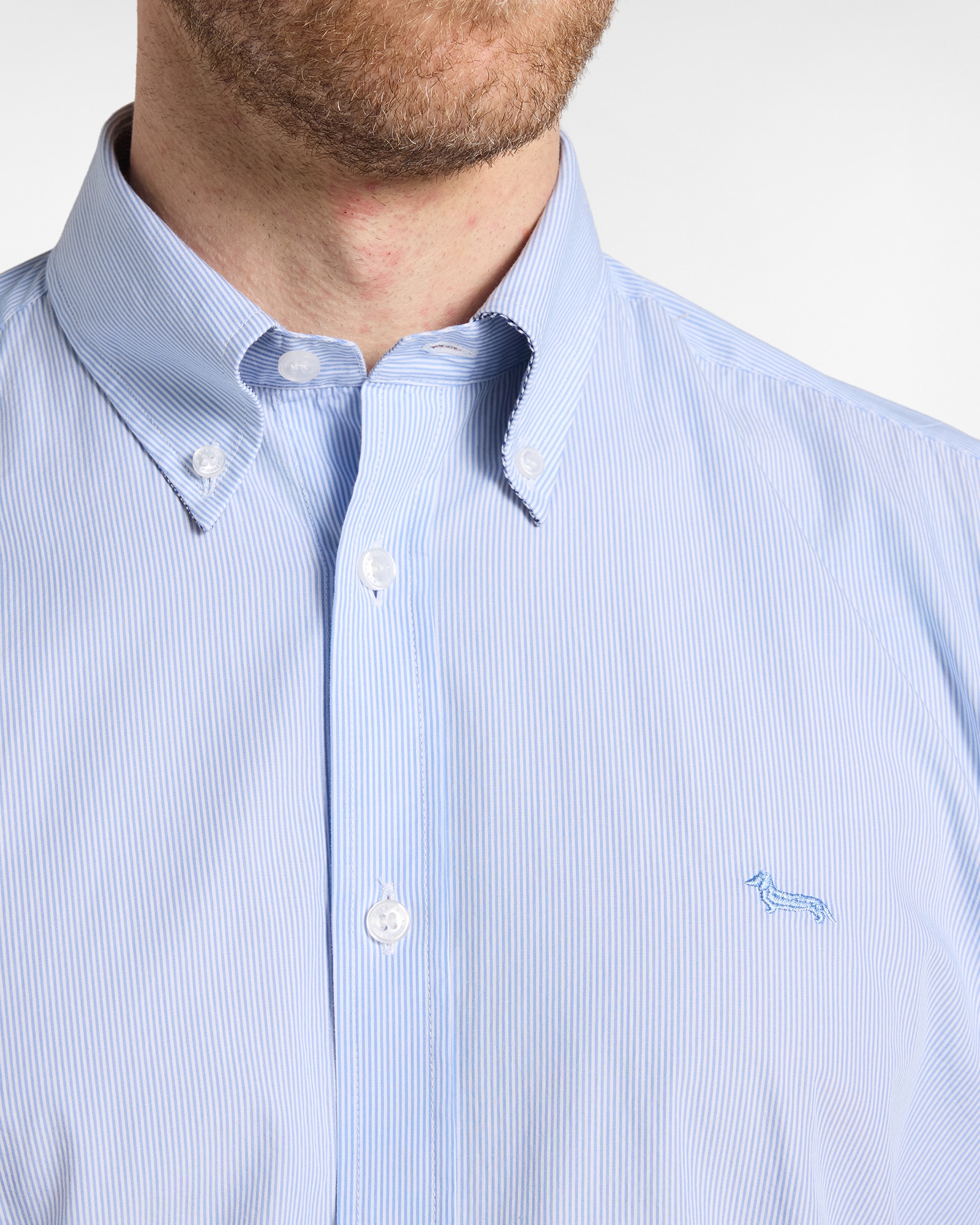 Camisa de hombre de microrayas teñido en hilo de corte regular - Harmont&Blaine - Azul celeste Azul celeste-3