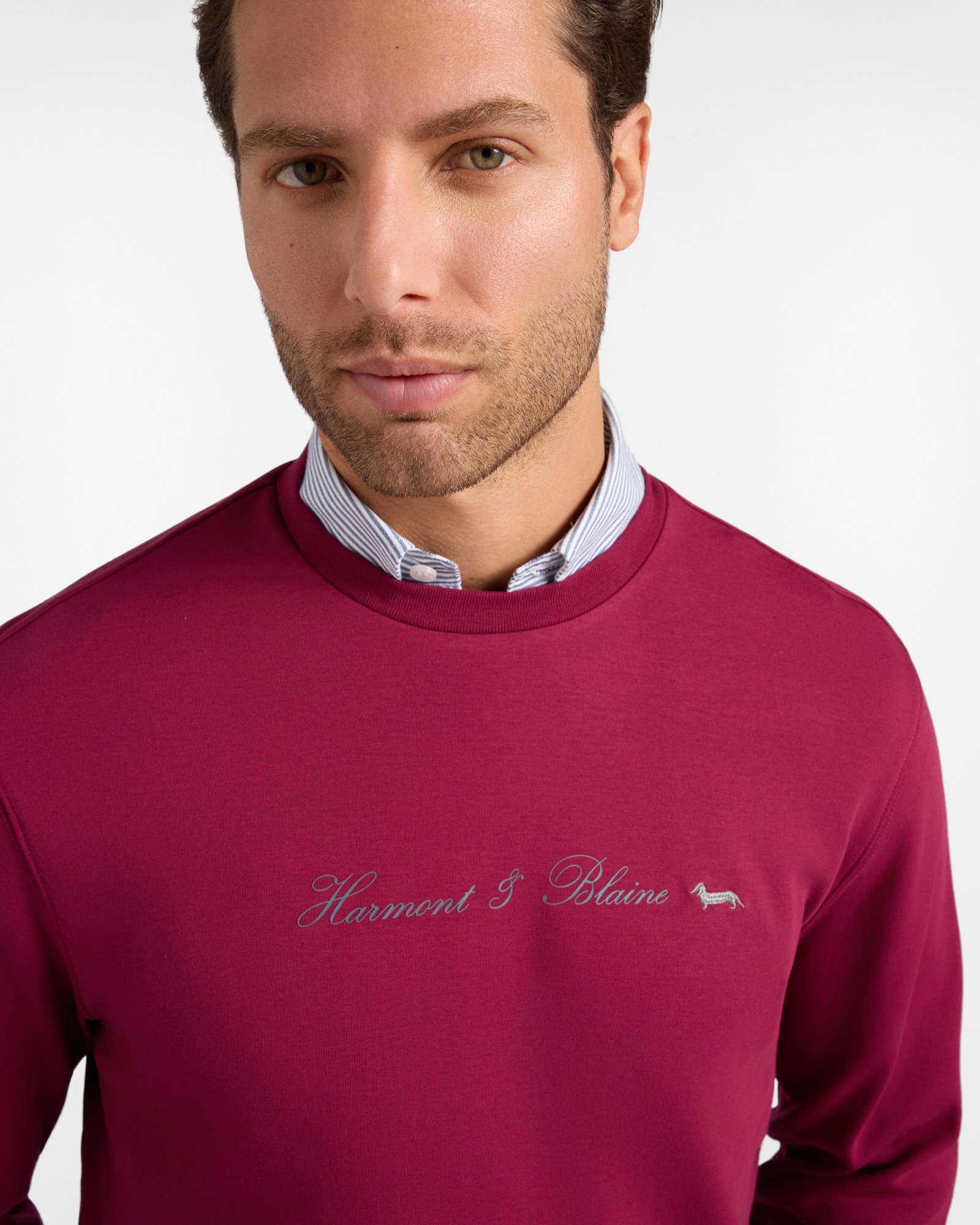 Sudadera de hombre con cuello redondo en algodón puro rojo con logo 3d - Harmont&Blaine - Rosa Rosa-3