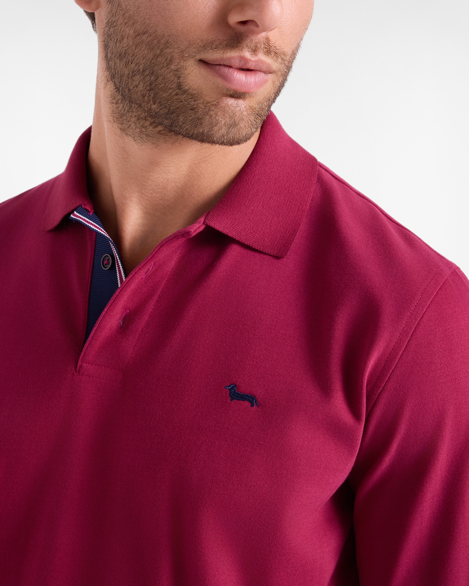 Polo de hombre de manga larga en punto cepillado de 100 % puro algodón - Harmont&Blaine - Rosa Rosa-2