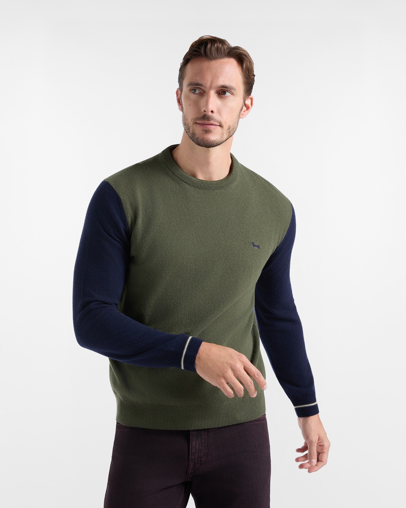 Imagen 1 de Jersey de hombre en mezcla de cachemir regular fit Verde