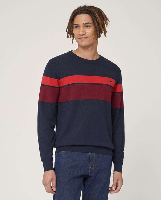 Imagen 0 de Jersey de hombre color azul marino con cuello redondo y bandas en 3D