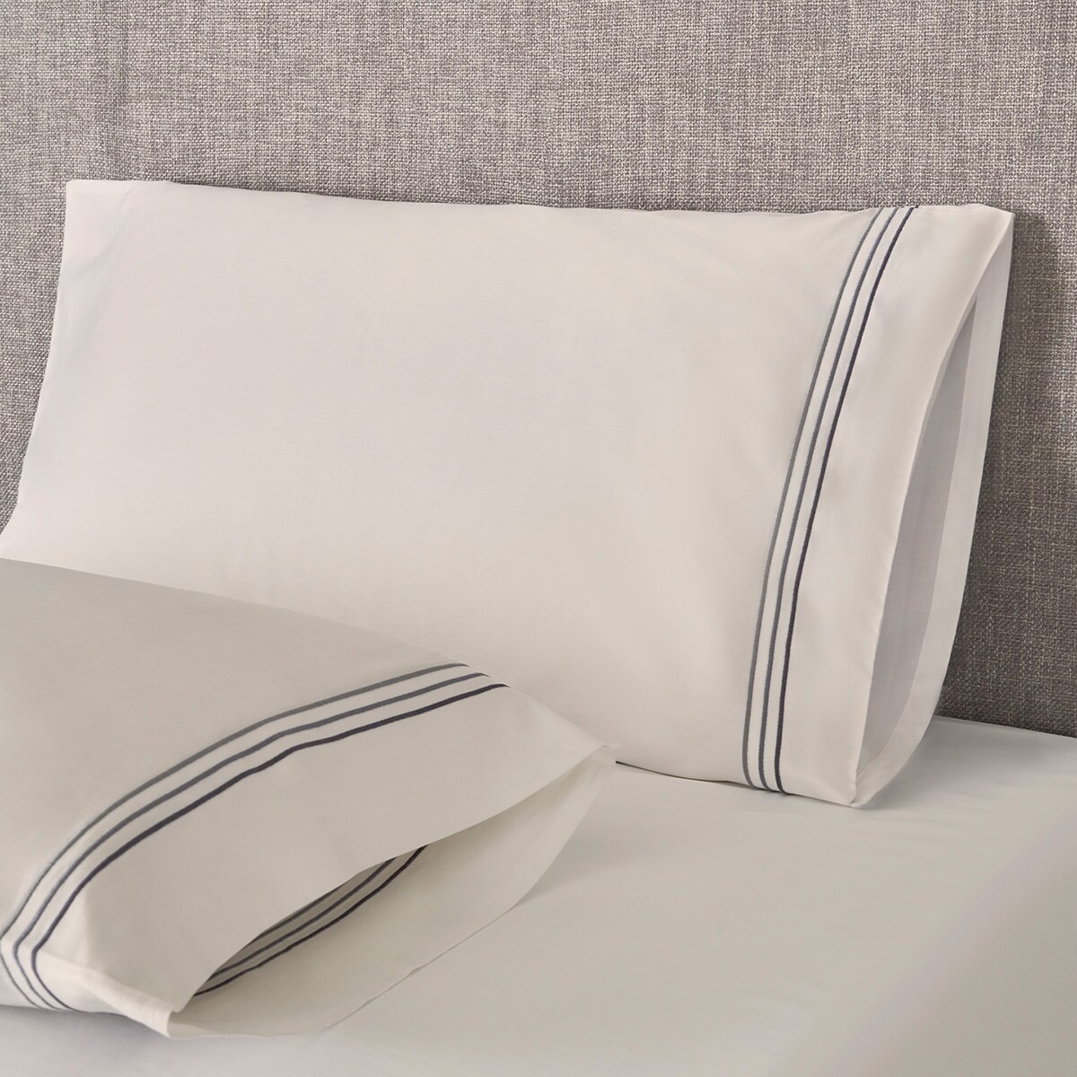 QUARKZMAN 5 Placas De Cartón Corrugado, 4 Mm, Blanco, Placas De Césped