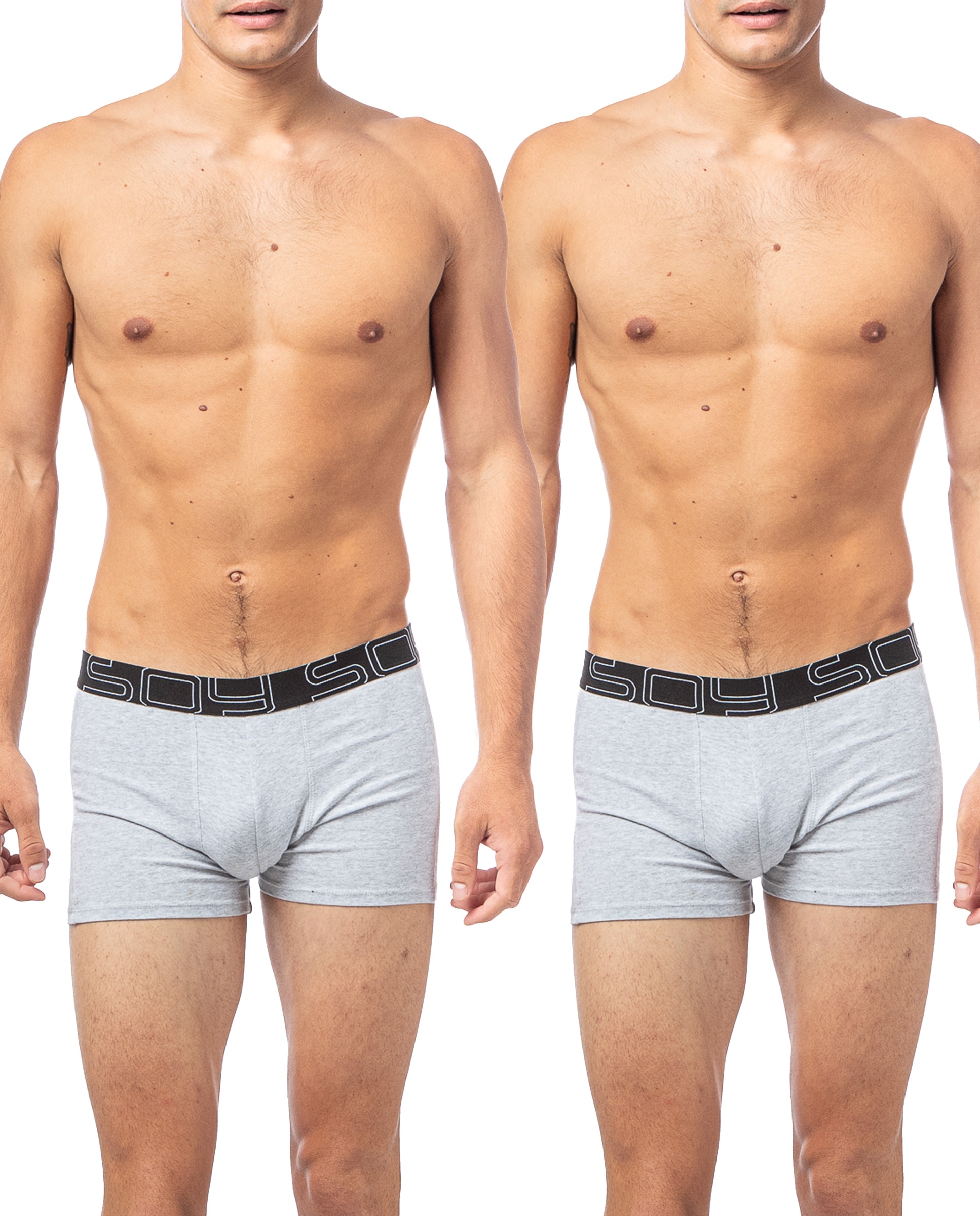 Imagen 0 de Pack de 2 boxer de punto de algodón de hombre largos en varios colores Gris